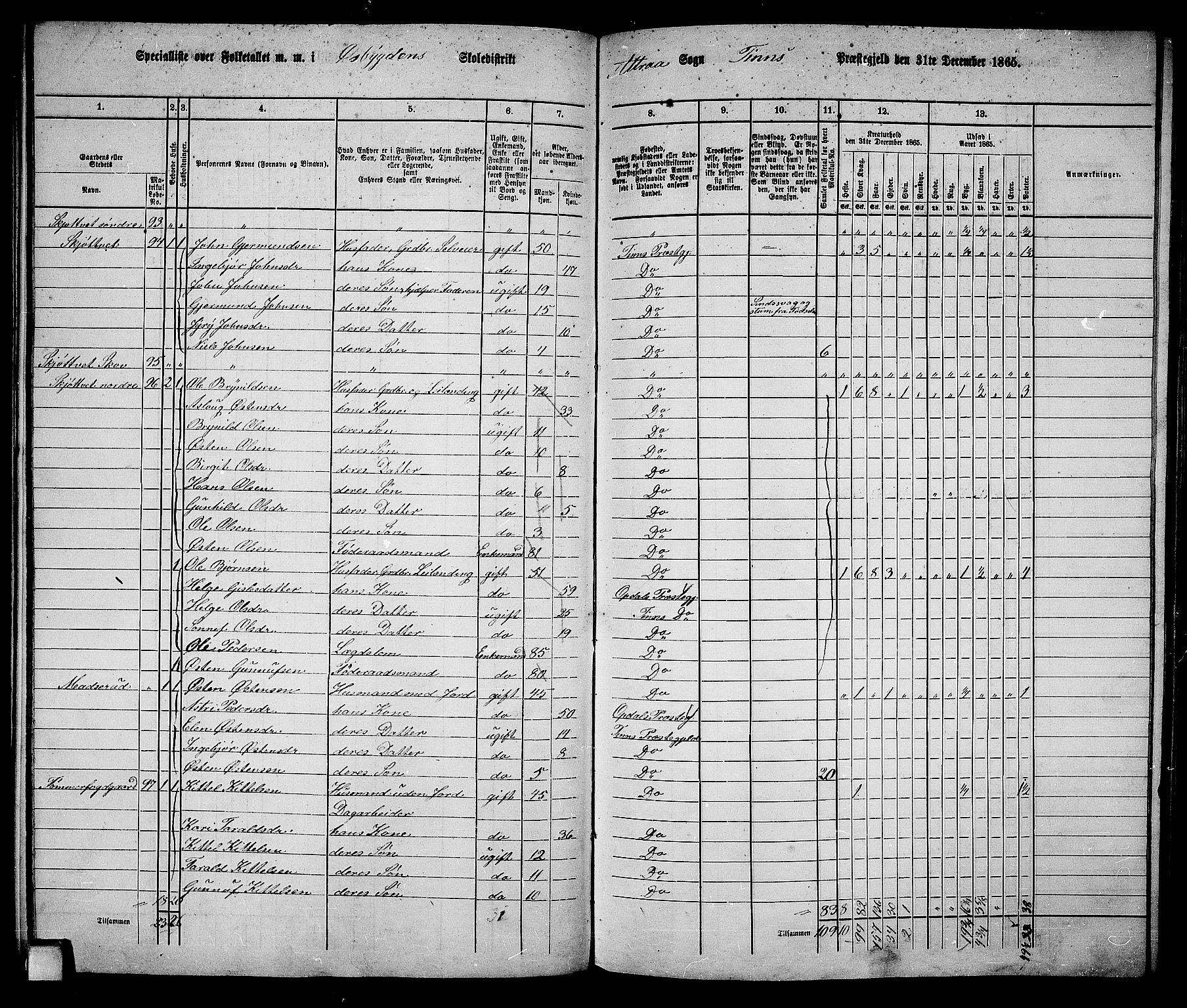 RA, 1865 census for Tinn, 1865, p. 12