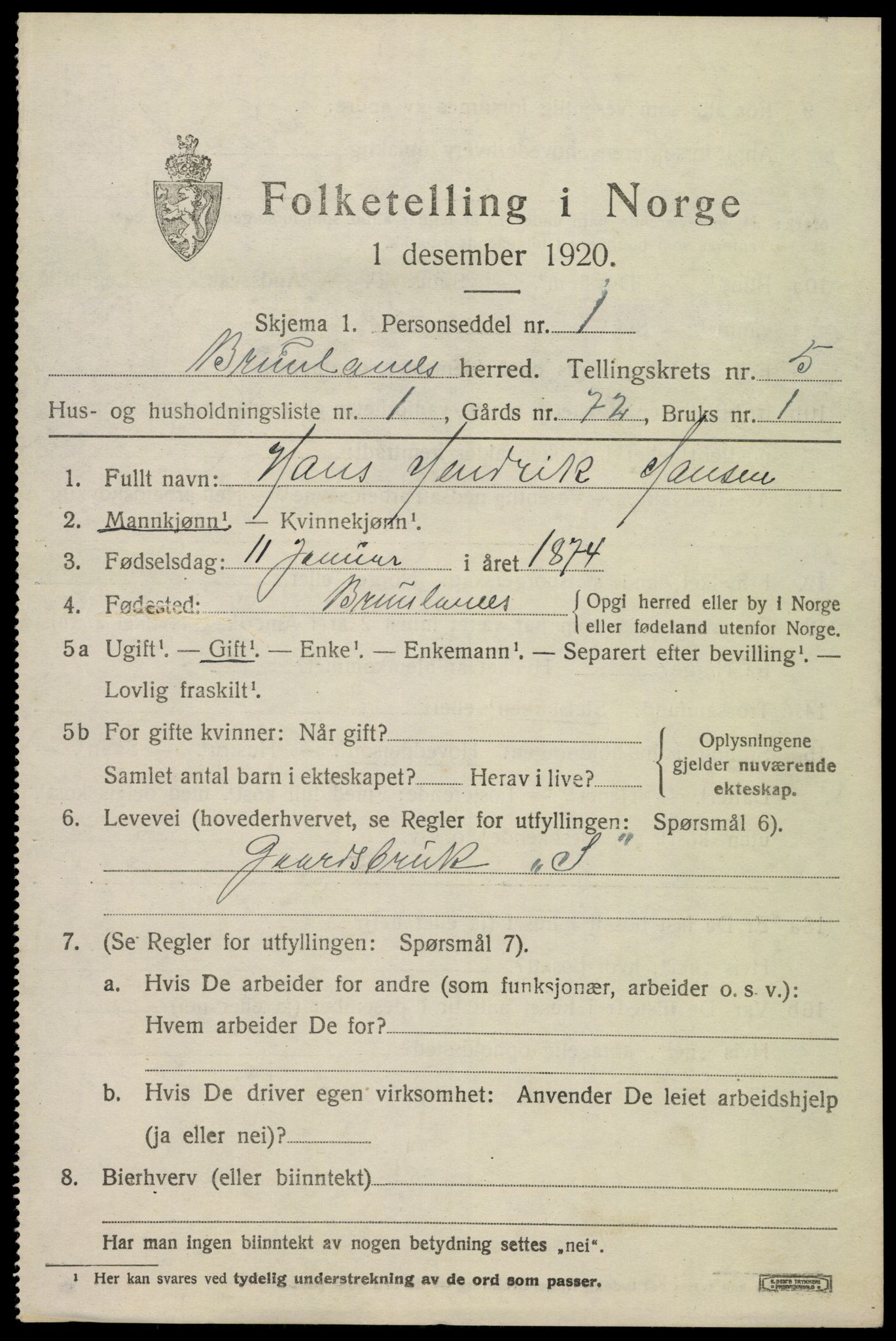 SAKO, 1920 census for Brunlanes, 1920, p. 6561