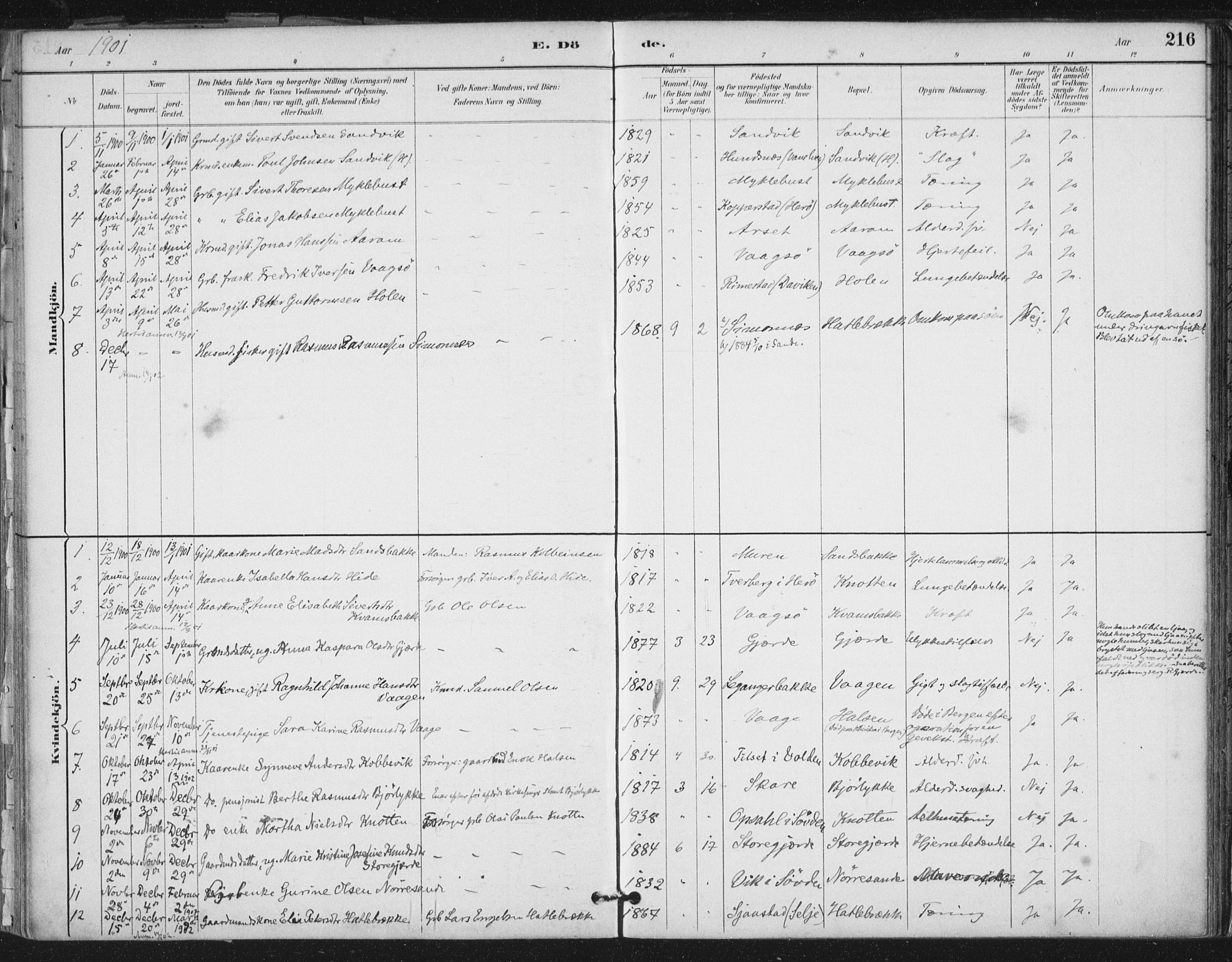 Ministerialprotokoller, klokkerbøker og fødselsregistre - Møre og Romsdal, AV/SAT-A-1454/503/L0037: Parish register (official) no. 503A05, 1884-1900, p. 216