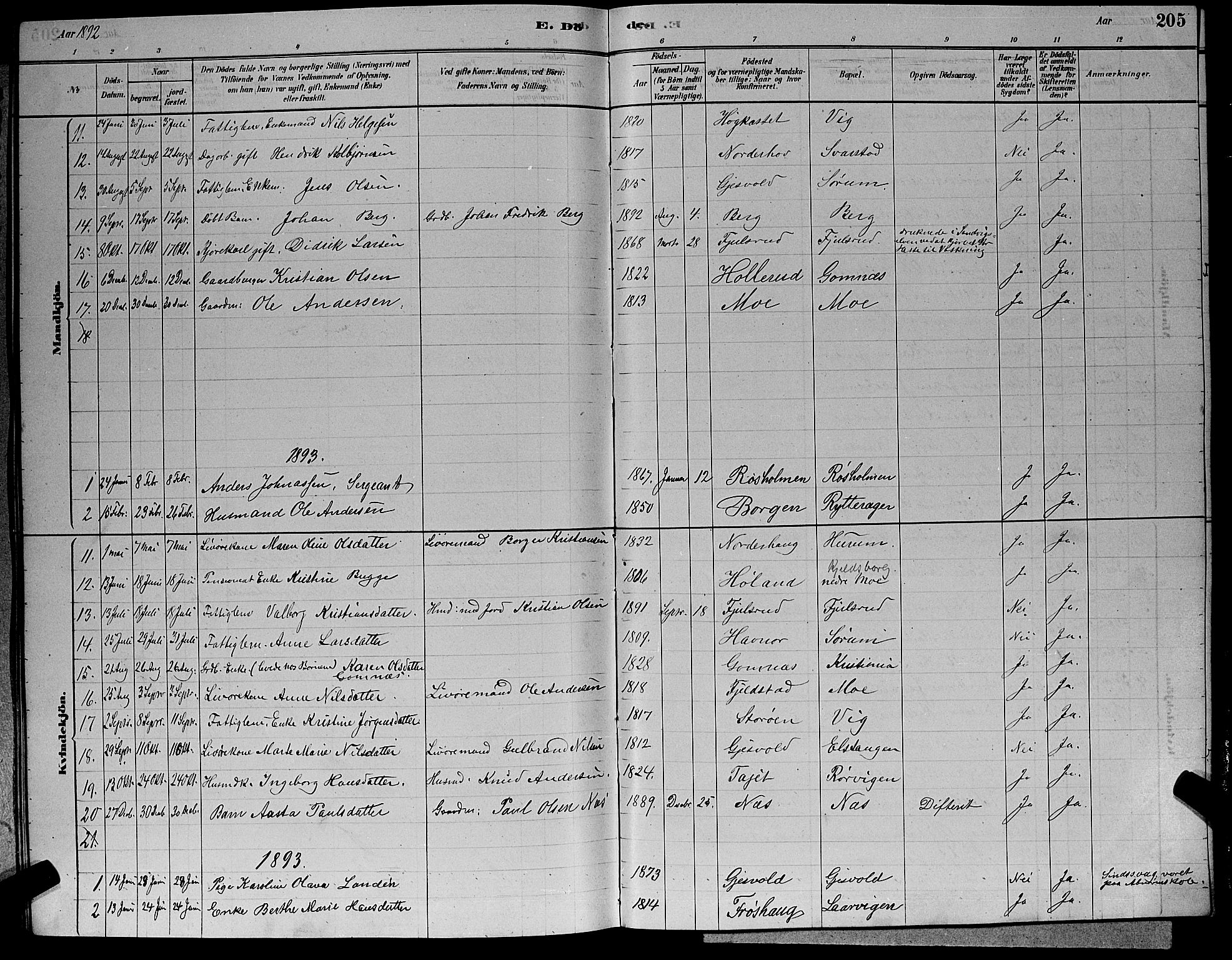 Hole kirkebøker, SAKO/A-228/G/Ga/L0003: Parish register (copy) no. I 3, 1879-1904, p. 205