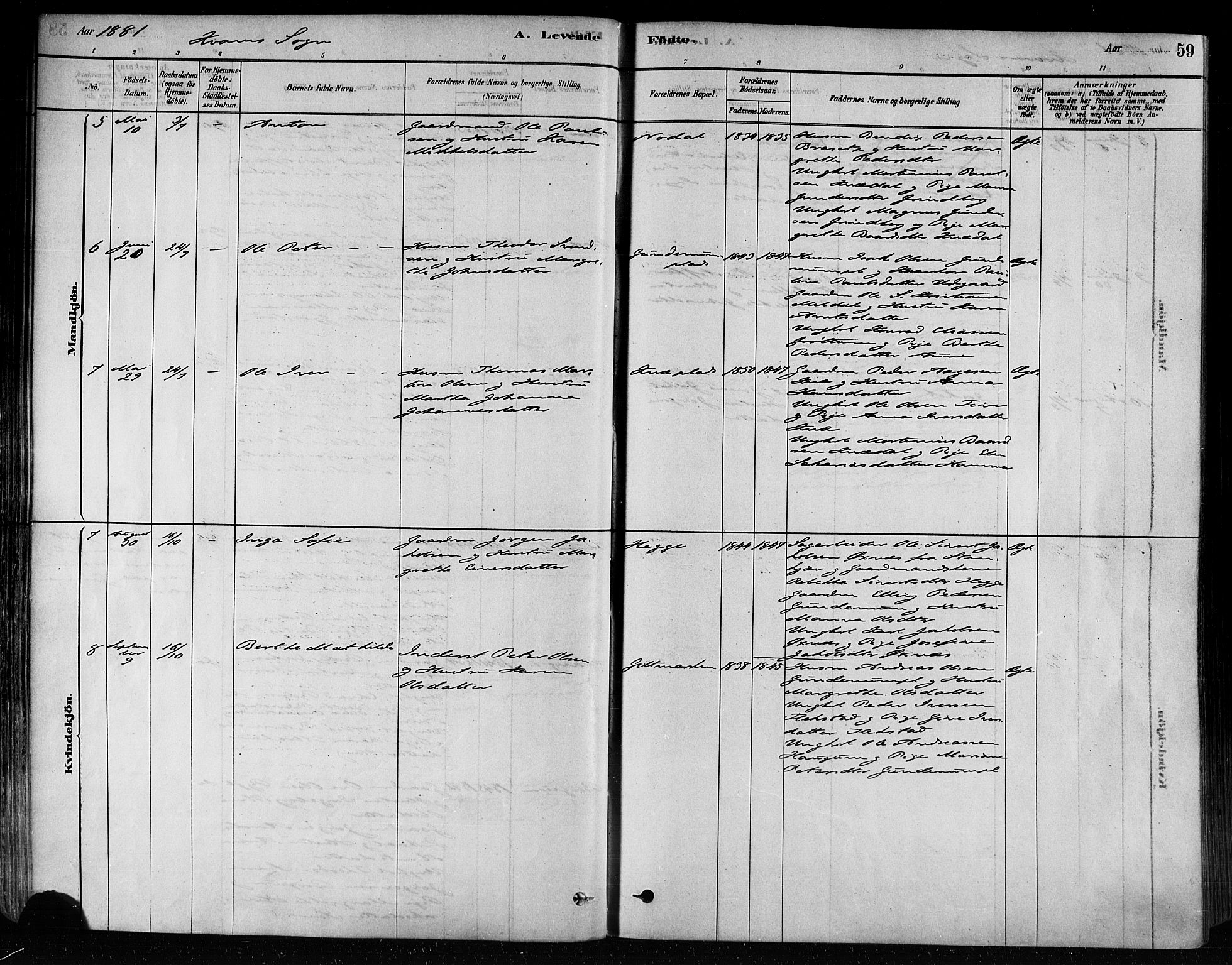 Ministerialprotokoller, klokkerbøker og fødselsregistre - Nord-Trøndelag, AV/SAT-A-1458/746/L0449: Parish register (official) no. 746A07 /2, 1878-1899, p. 59