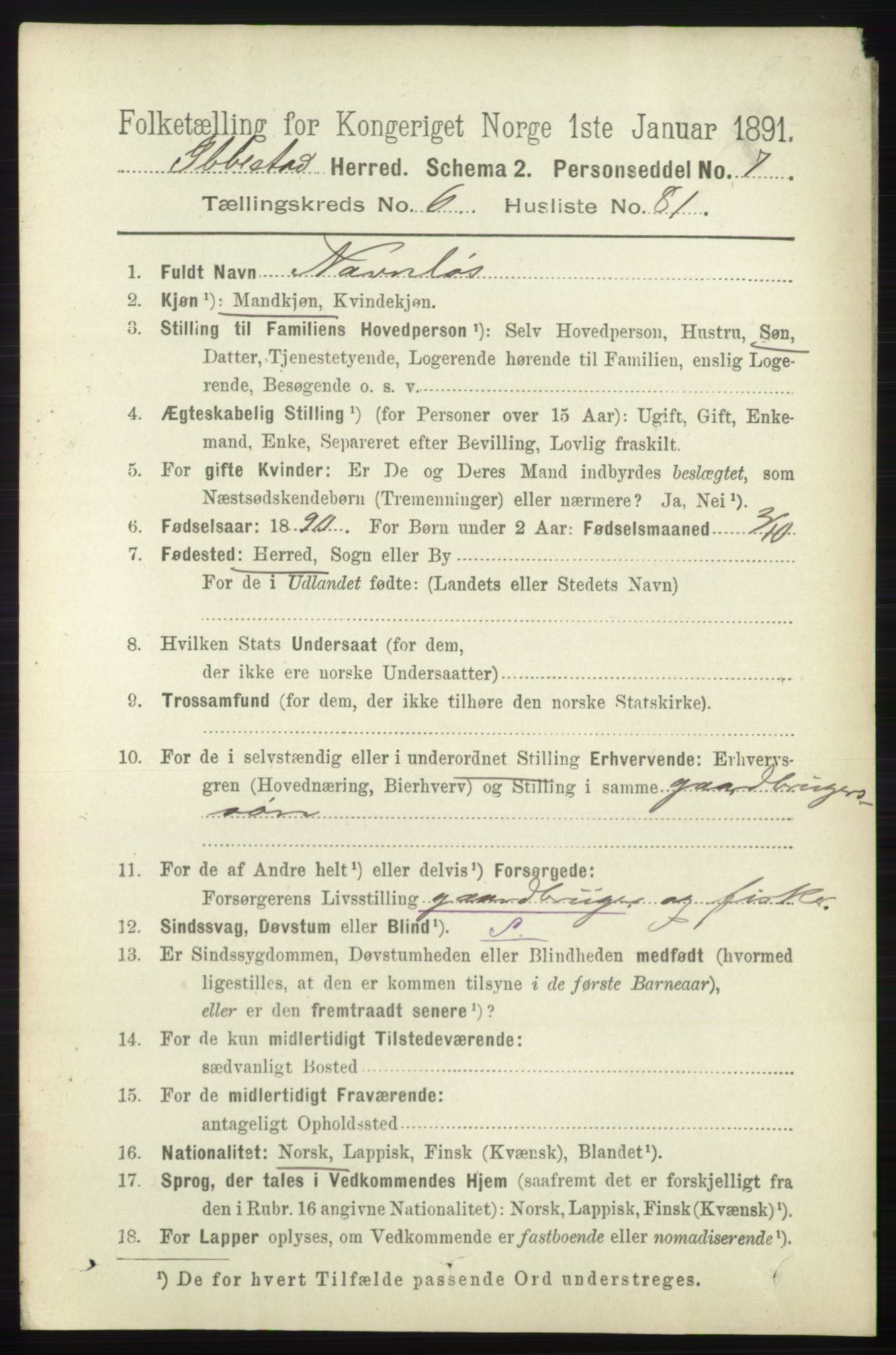 RA, 1891 census for 1917 Ibestad, 1891, p. 4040