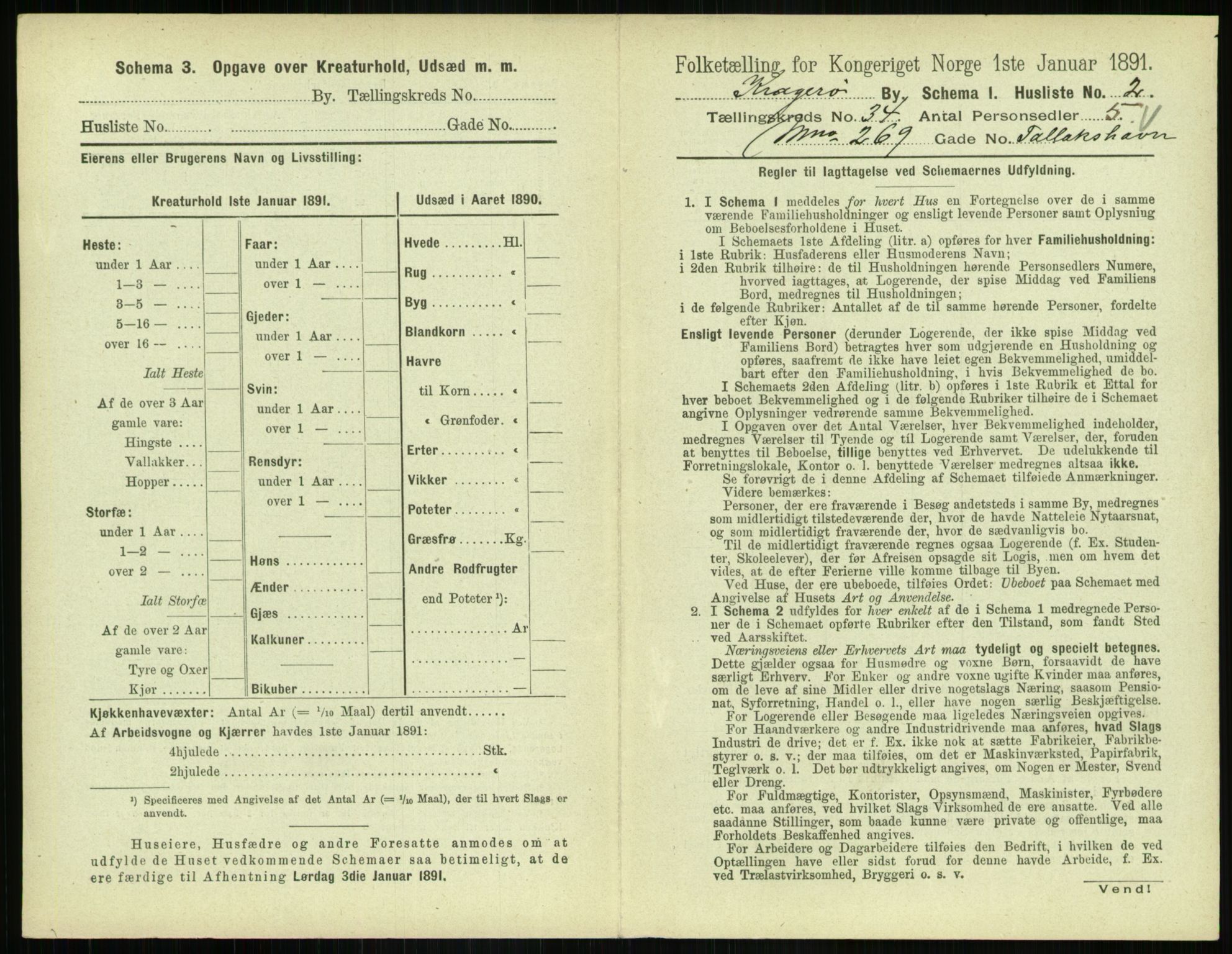 RA, 1891 census for 0801 Kragerø, 1891, p. 1236