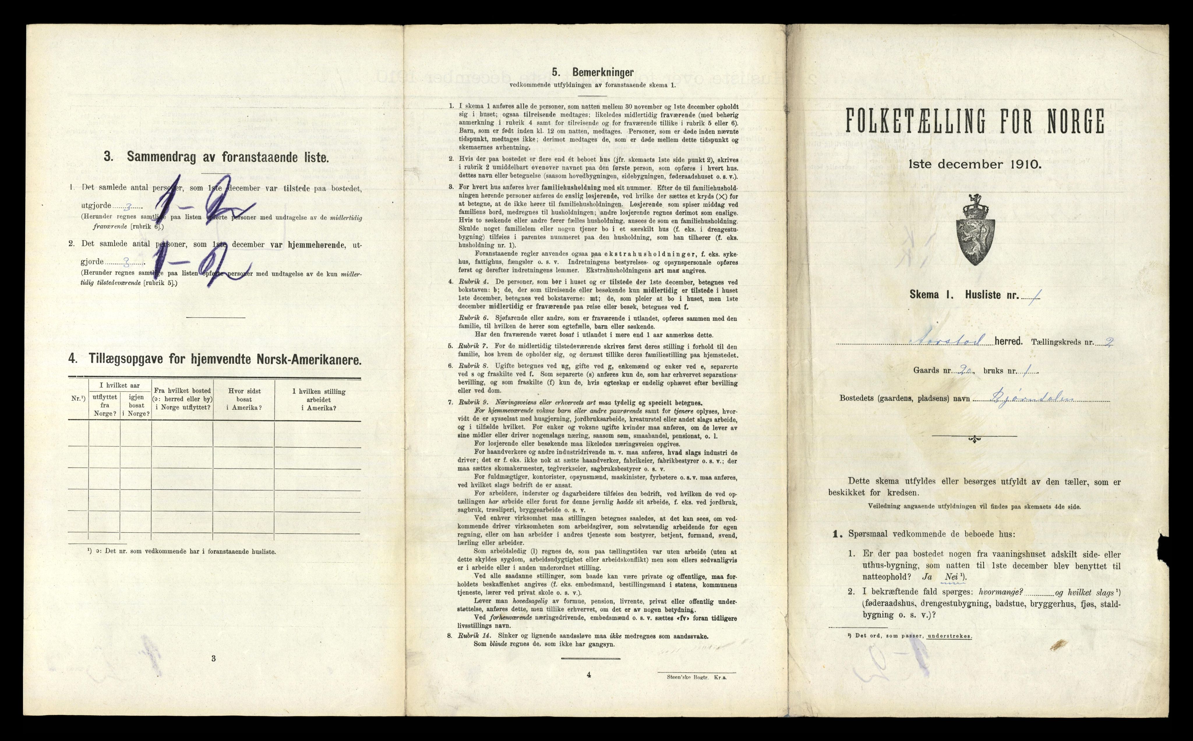 RA, 1910 census for Årstad, 1910, p. 196