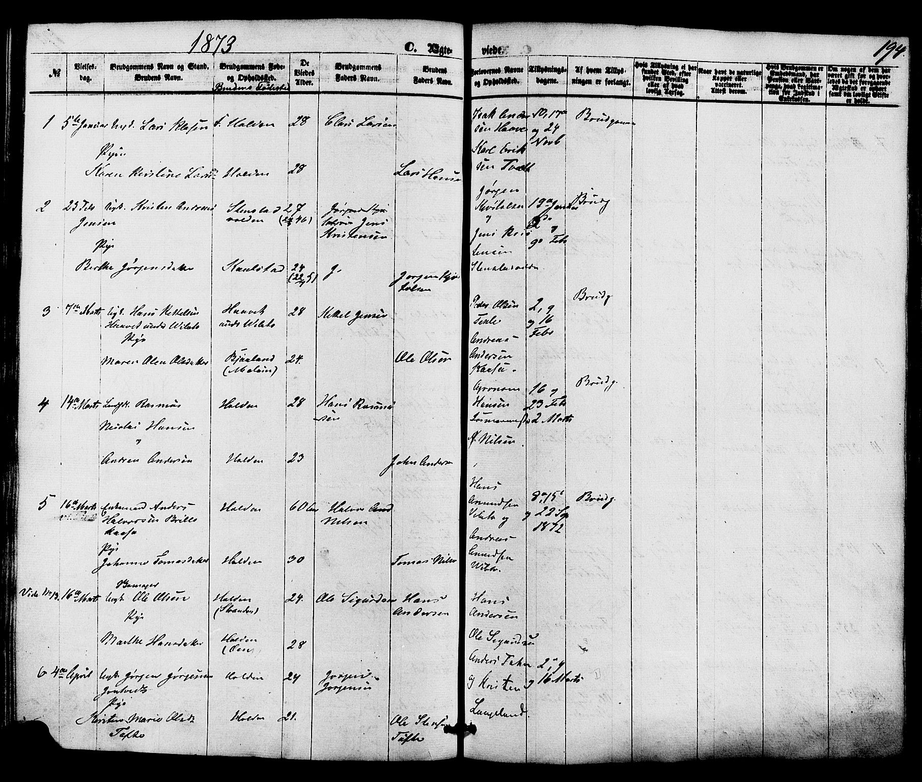 Holla kirkebøker, SAKO/A-272/F/Fa/L0007: Parish register (official) no. 7, 1869-1881, p. 194