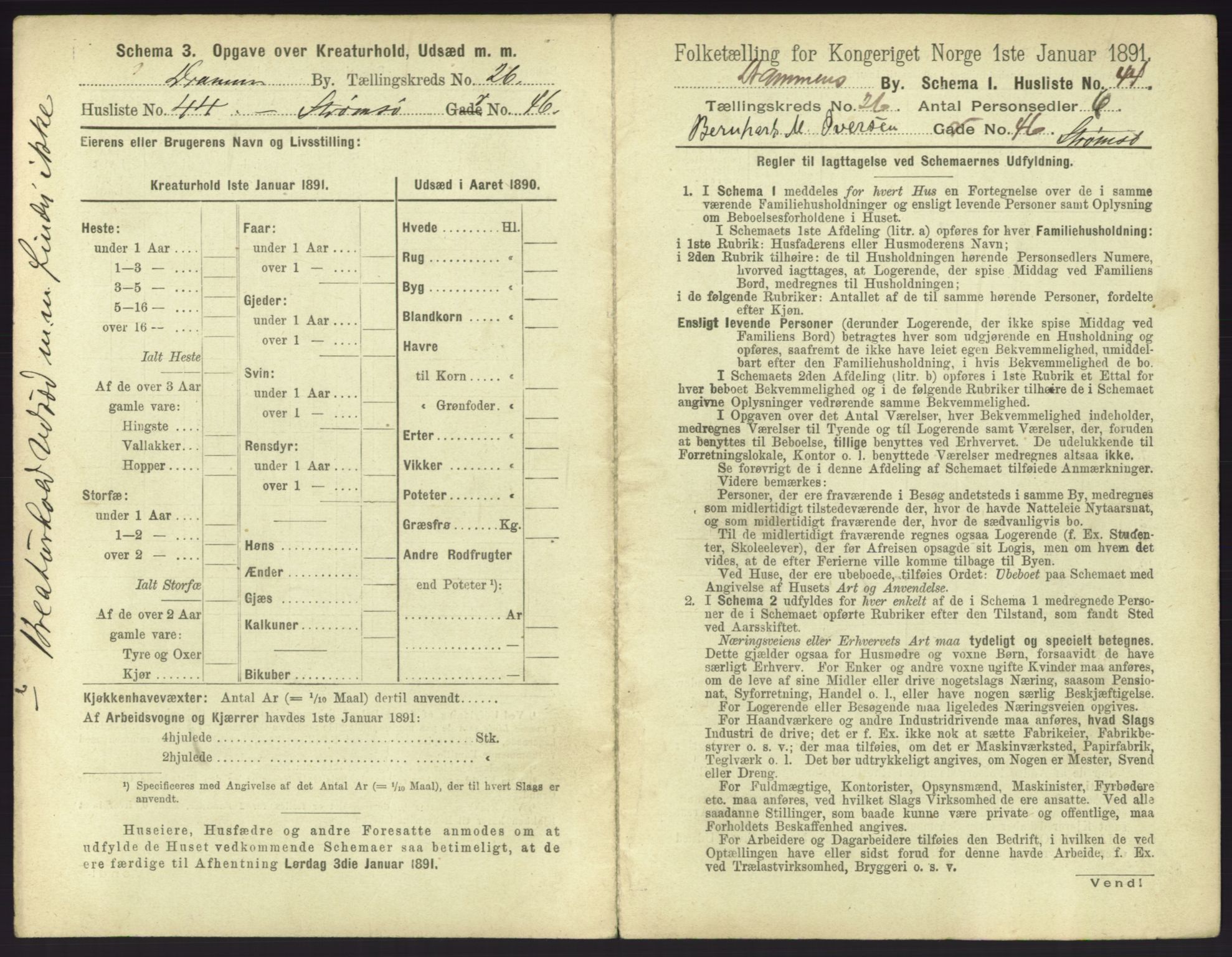 RA, 1891 census for 0602 Drammen, 1891, p. 2251