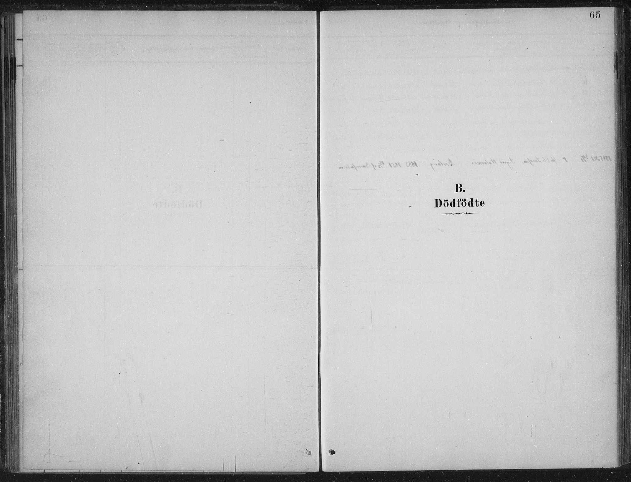 Lærdal sokneprestembete, SAB/A-81201: Parish register (official) no. C  1, 1878-1911, p. 65