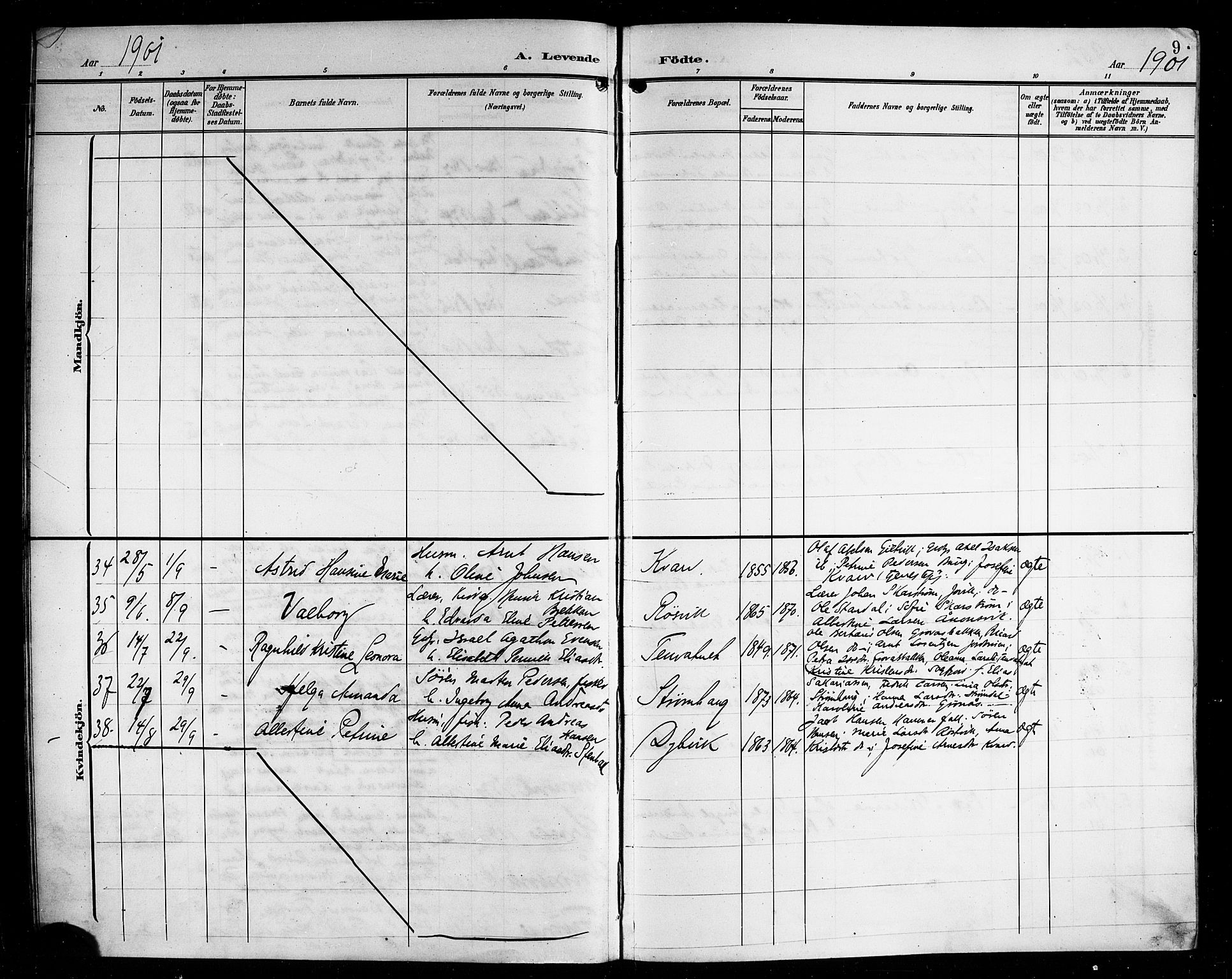 Ministerialprotokoller, klokkerbøker og fødselsregistre - Nordland, AV/SAT-A-1459/854/L0786: Parish register (copy) no. 854C02, 1901-1912, p. 9