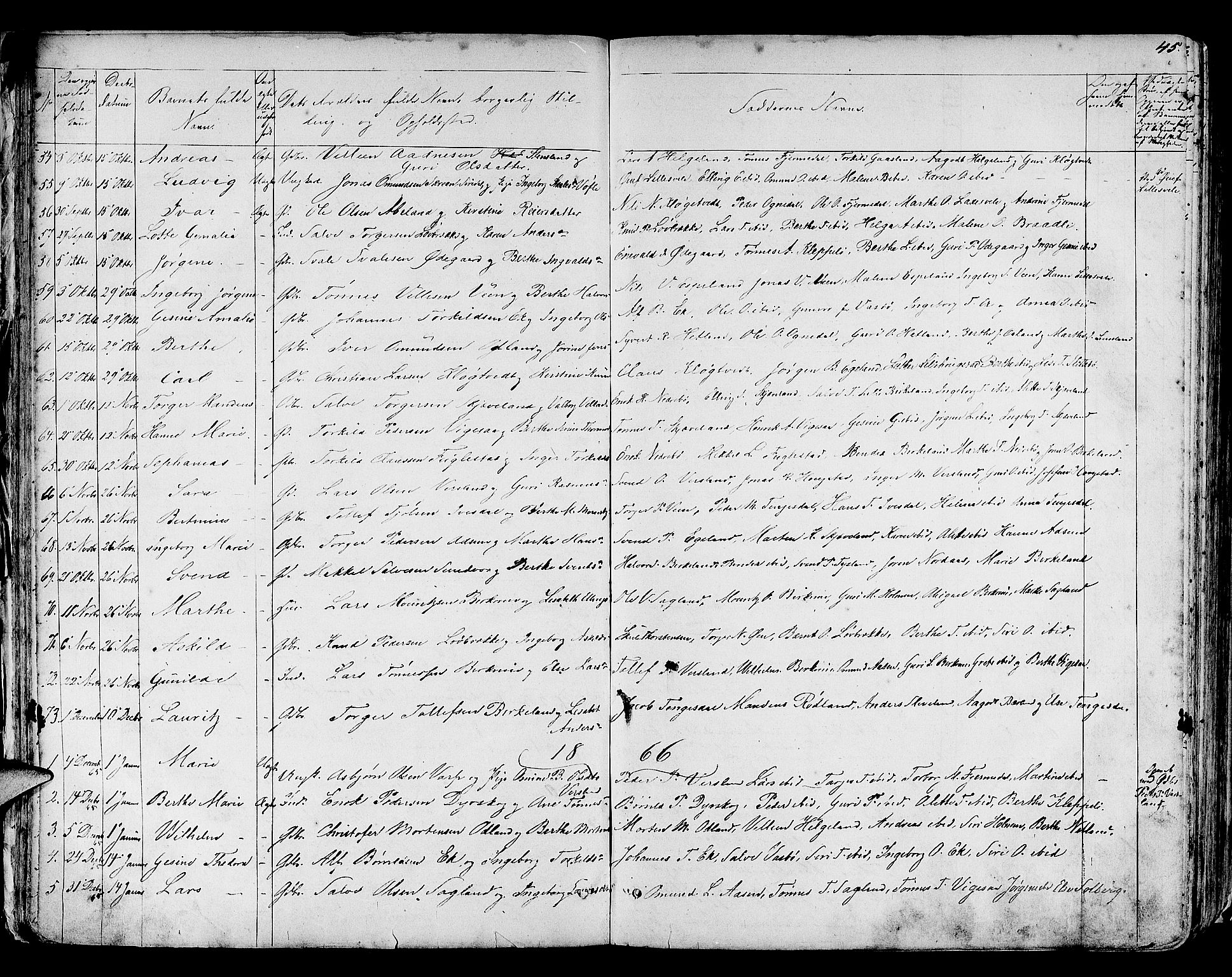 Helleland sokneprestkontor, SAST/A-101810: Parish register (copy) no. B 3, 1847-1886, p. 45