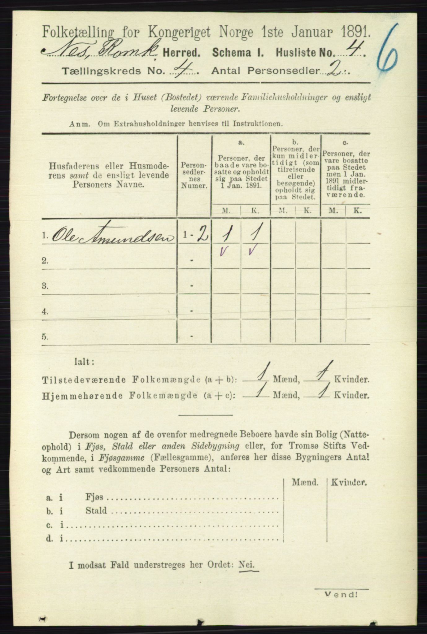 RA, 1891 census for 0236 Nes, 1891, p. 2185