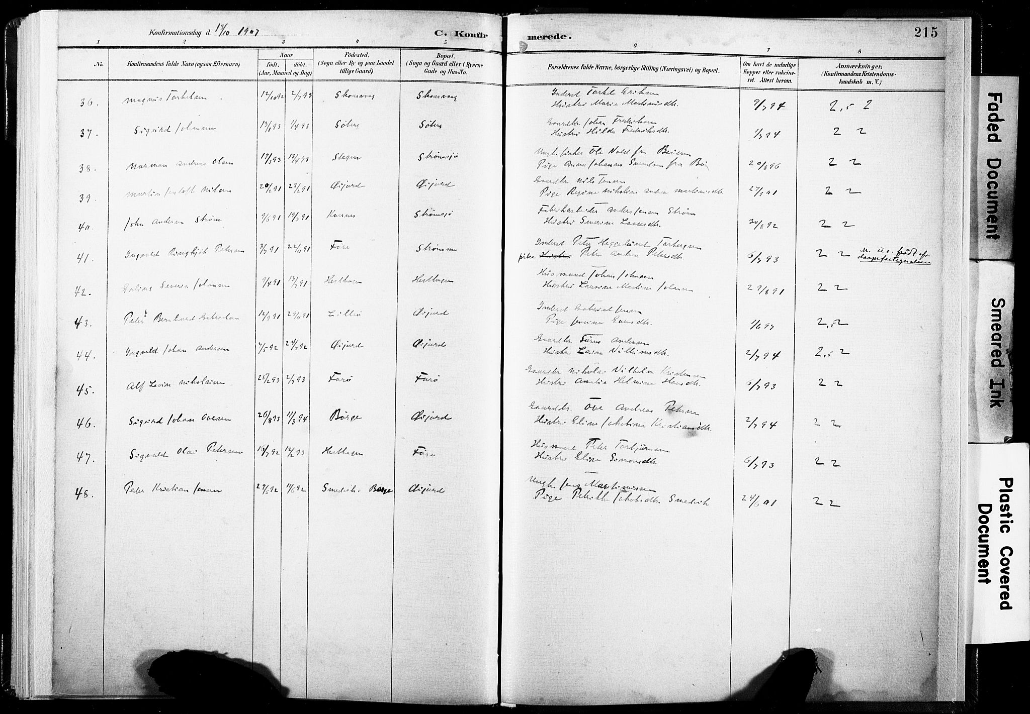 Ministerialprotokoller, klokkerbøker og fødselsregistre - Nordland, SAT/A-1459/891/L1304: Parish register (official) no. 891A09, 1895-1921, p. 215