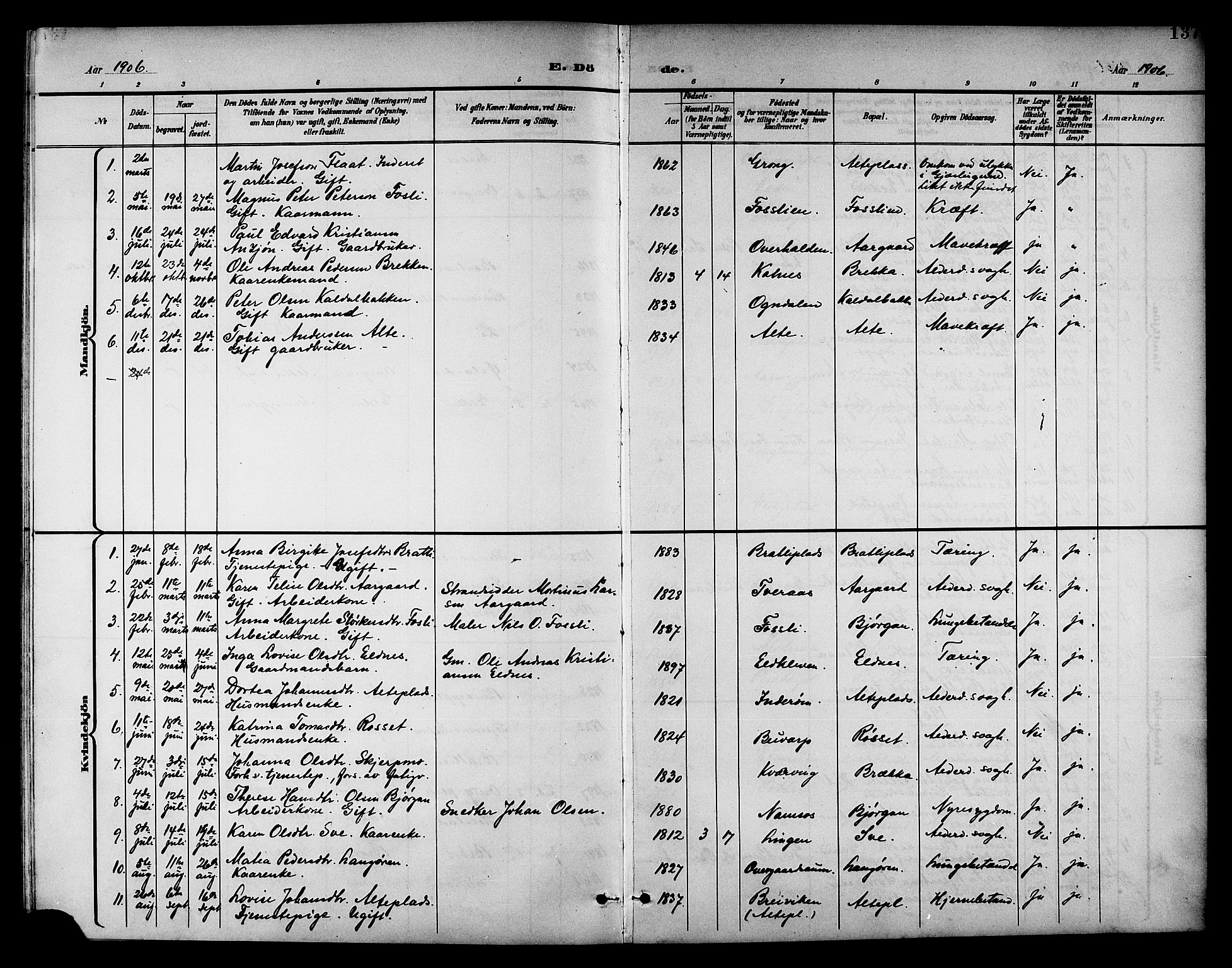 Ministerialprotokoller, klokkerbøker og fødselsregistre - Nord-Trøndelag, SAT/A-1458/742/L0412: Parish register (copy) no. 742C03, 1898-1910, p. 137