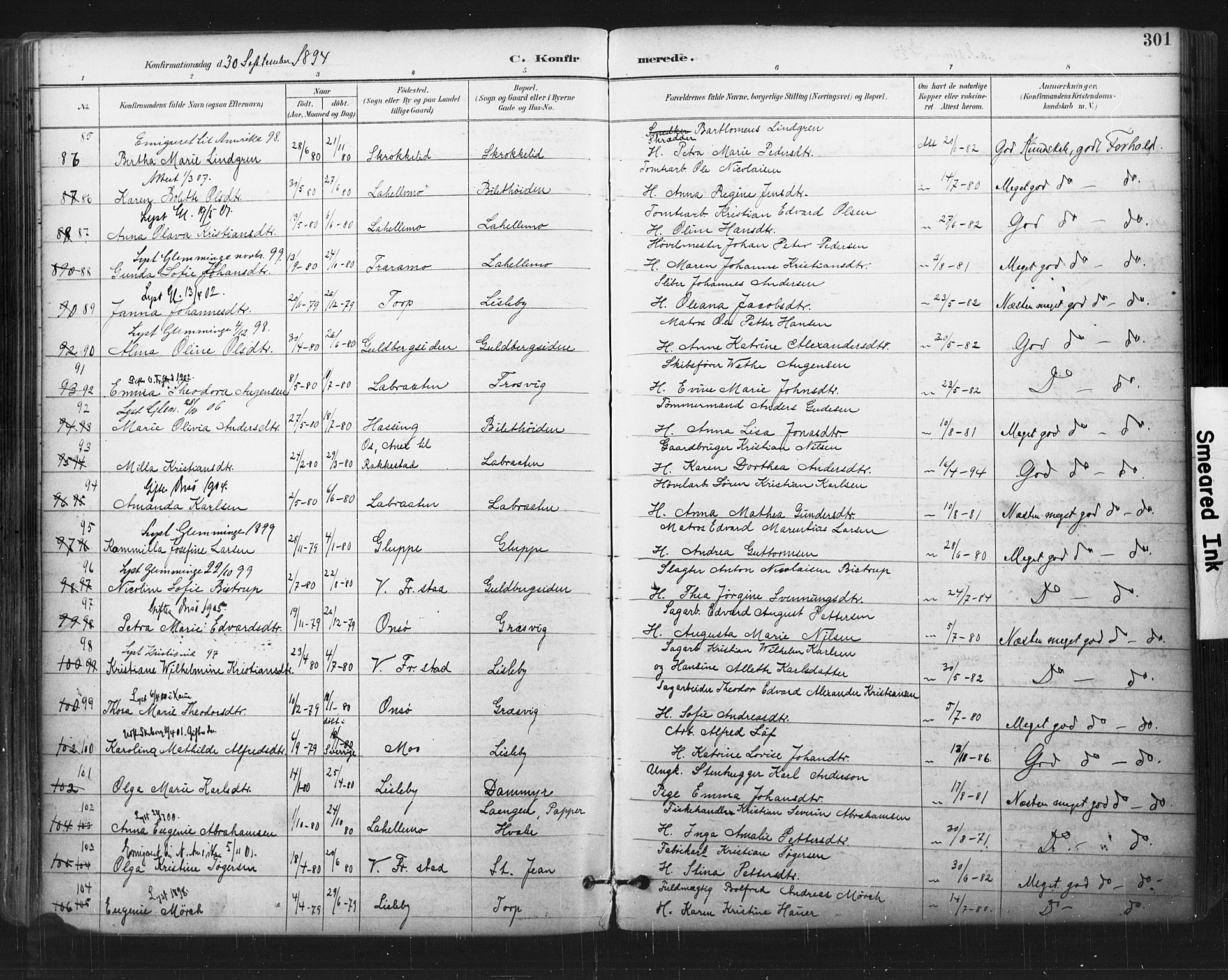 Glemmen prestekontor Kirkebøker, SAO/A-10908/F/Fa/L0013: Parish register (official) no. 13, 1892-1907, p. 301