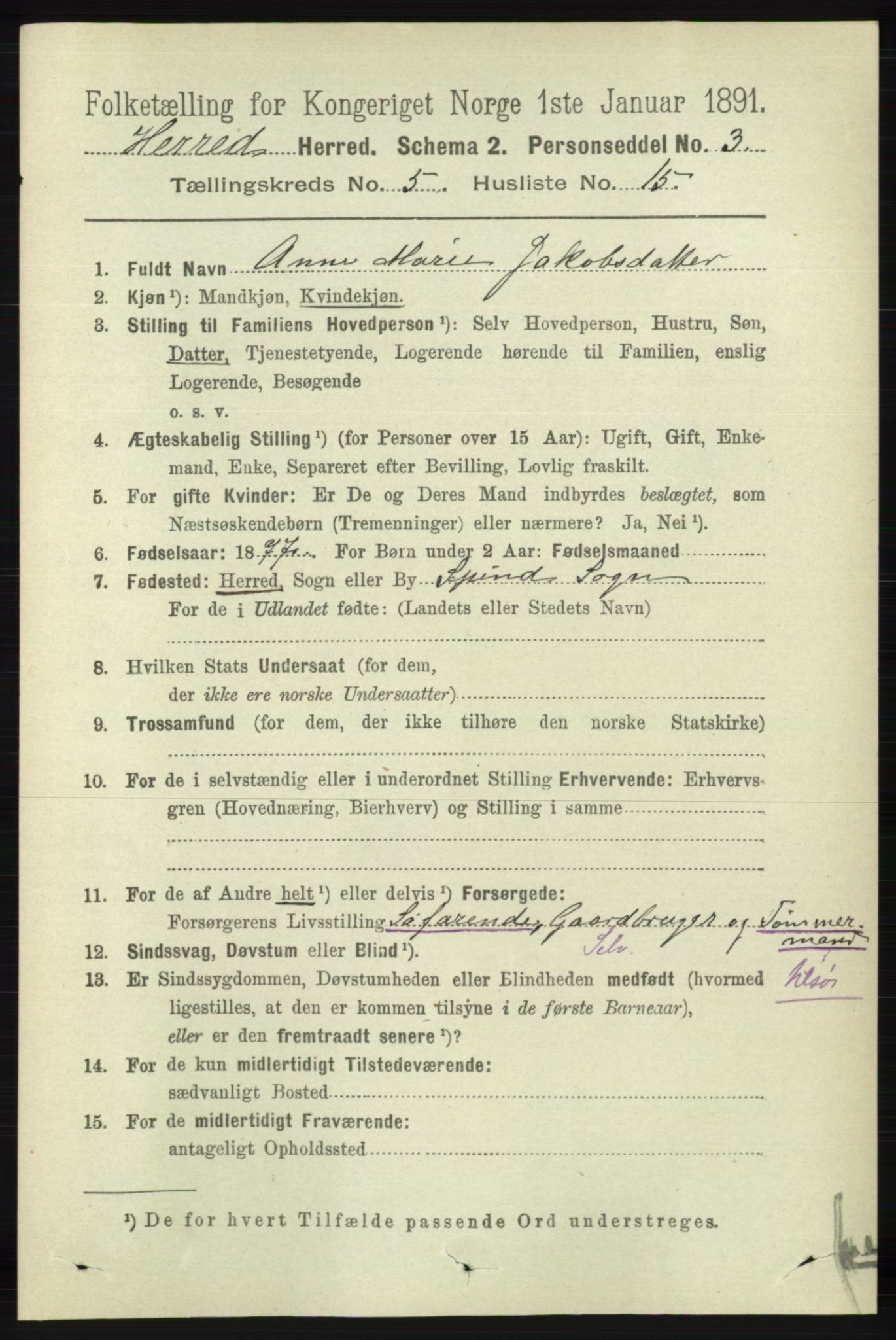 RA, 1891 census for 1039 Herad, 1891, p. 1893