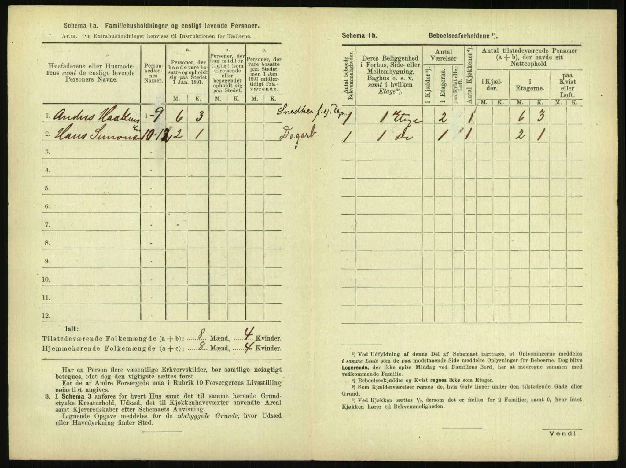 RA, 1891 census for 0806 Skien, 1891, p. 1205