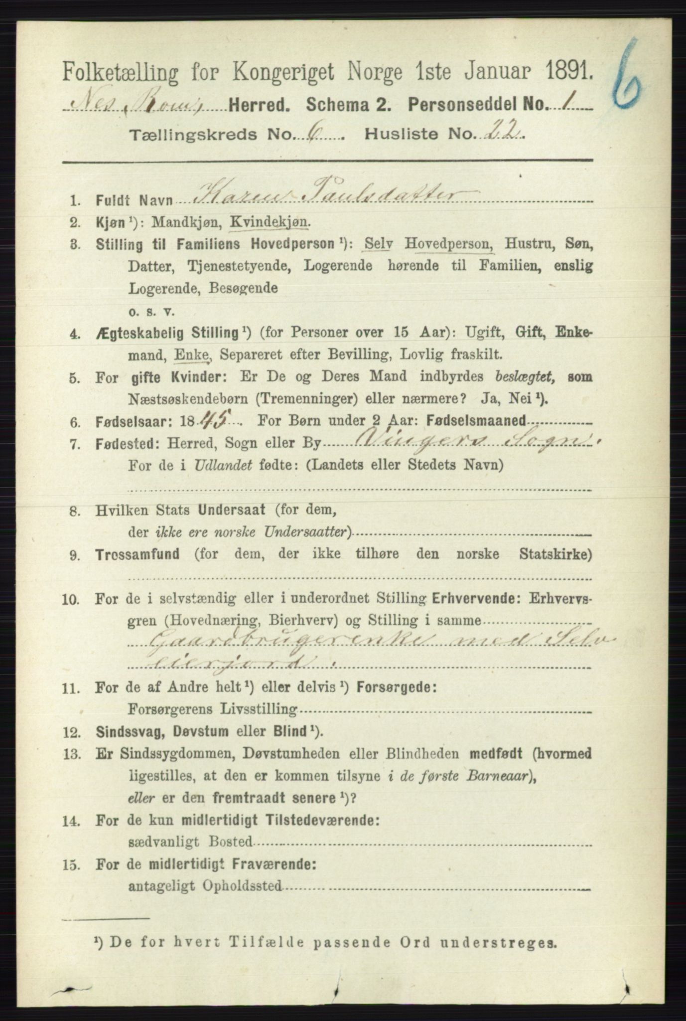 RA, 1891 census for 0236 Nes, 1891, p. 3505