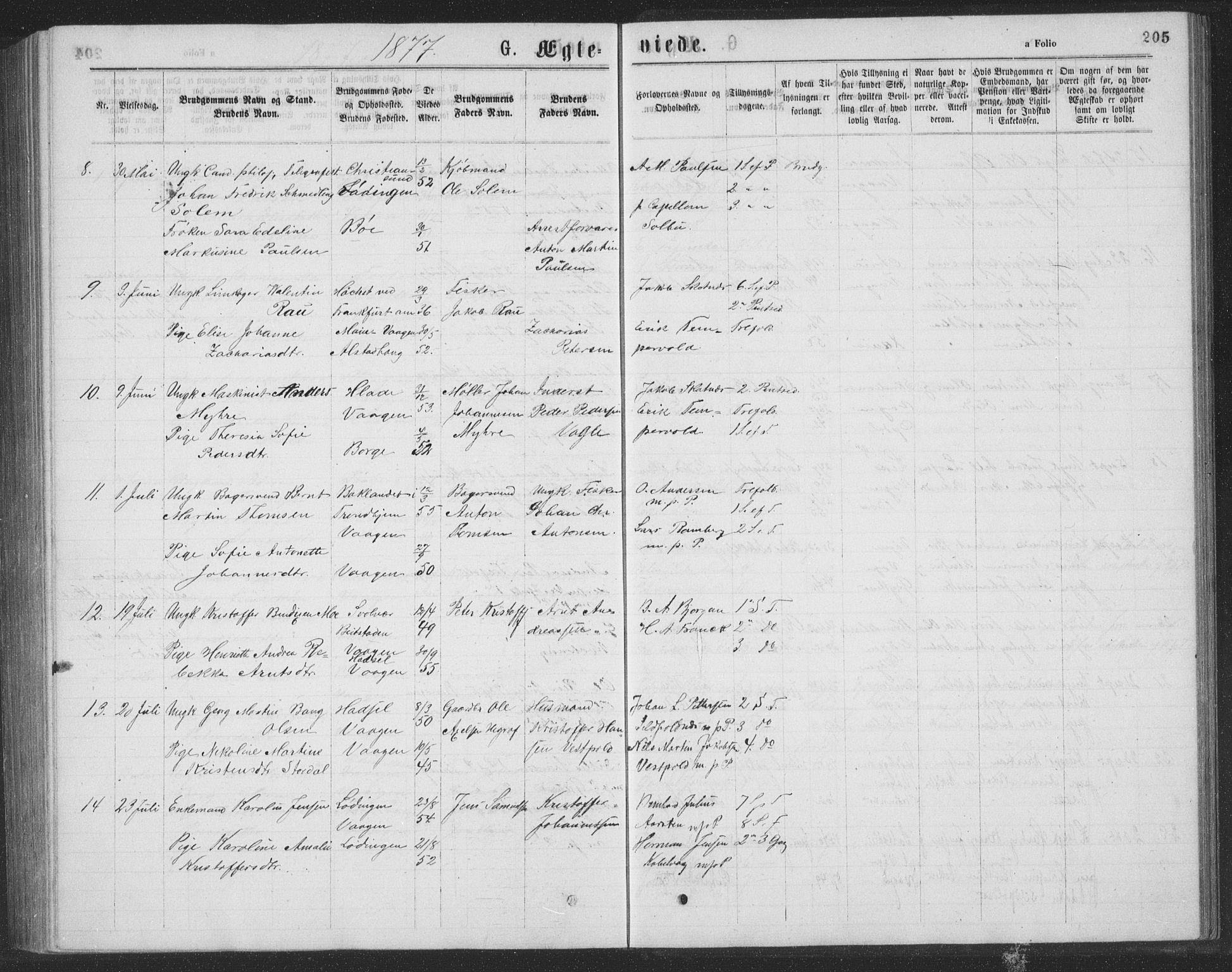 Ministerialprotokoller, klokkerbøker og fødselsregistre - Nordland, AV/SAT-A-1459/874/L1075: Parish register (copy) no. 874C04, 1876-1883, p. 205