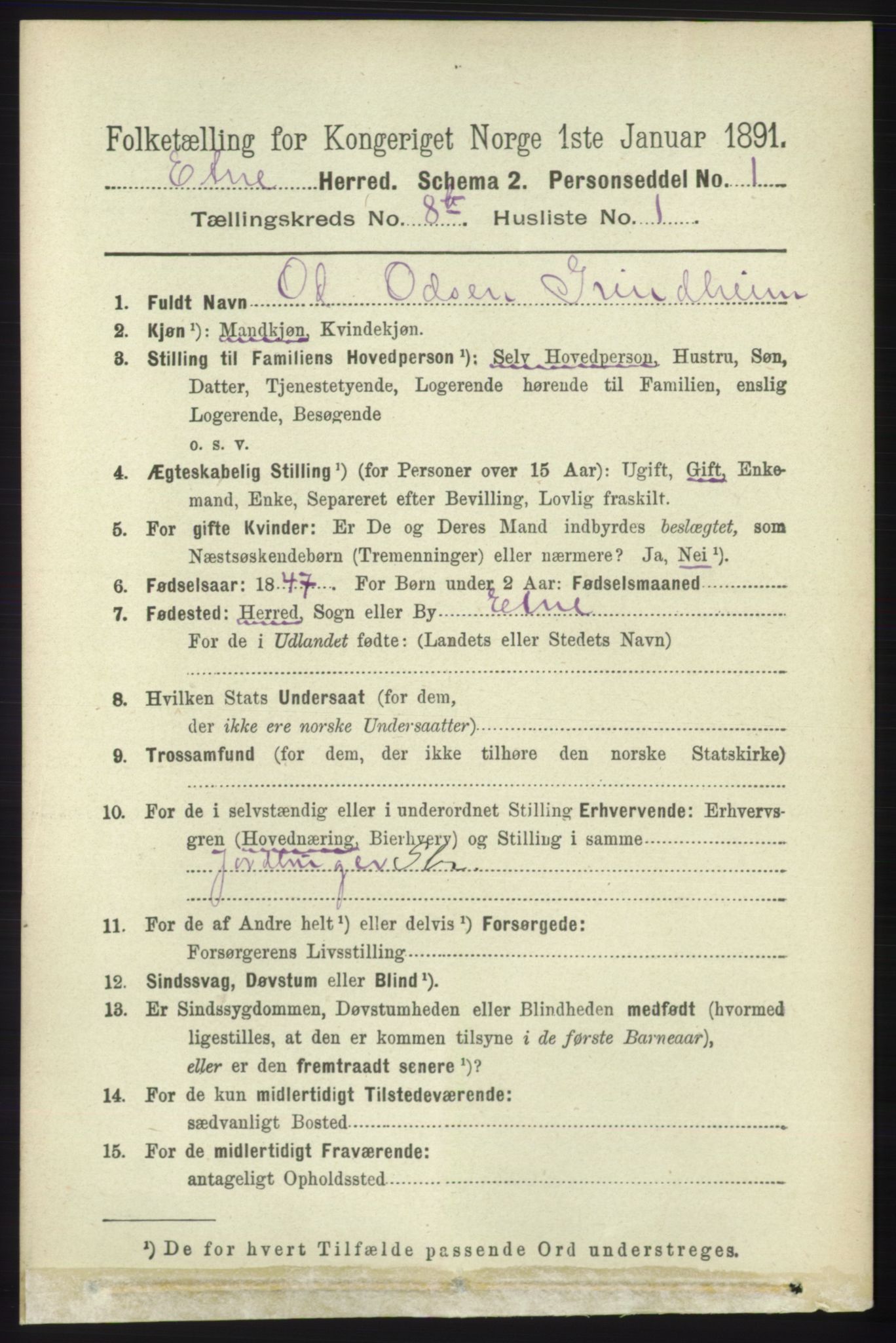 RA, 1891 census for 1211 Etne, 1891, p. 1617