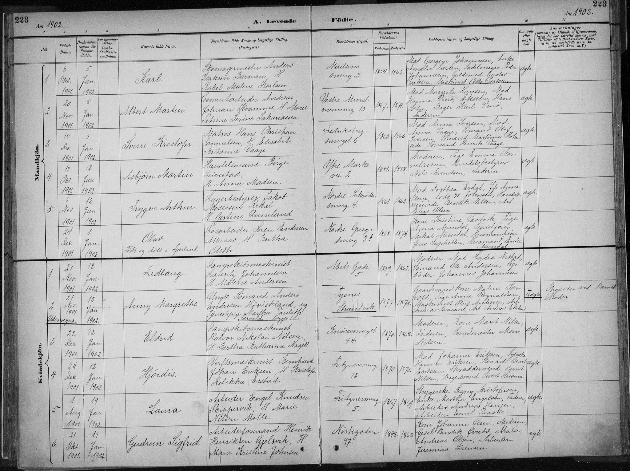 Nykirken Sokneprestembete, SAB/A-77101/H/Haa/L0018: Parish register (official) no. B 6, 1895-1903, p. 223