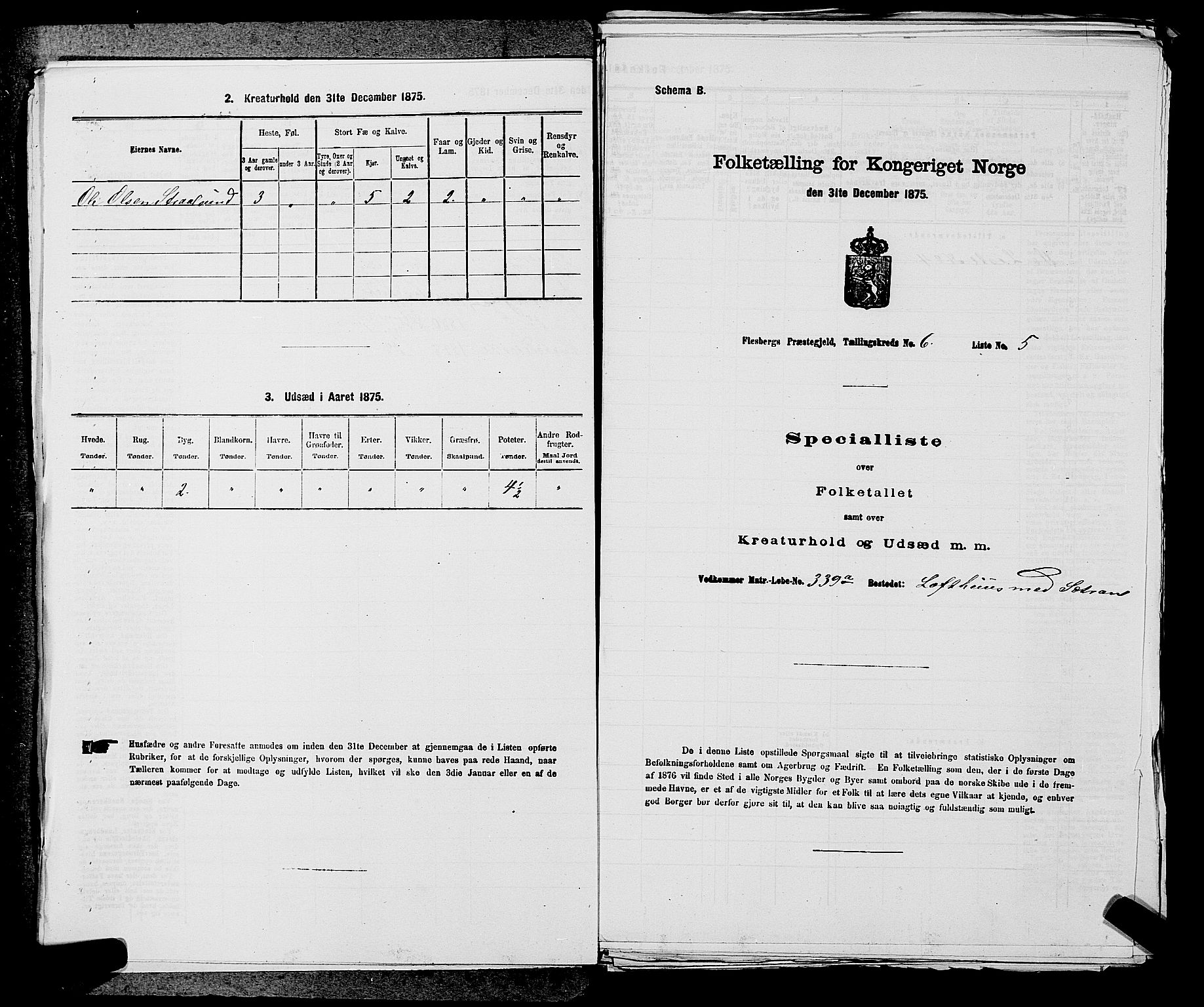 SAKO, 1875 census for 0631P Flesberg, 1875, p. 1091