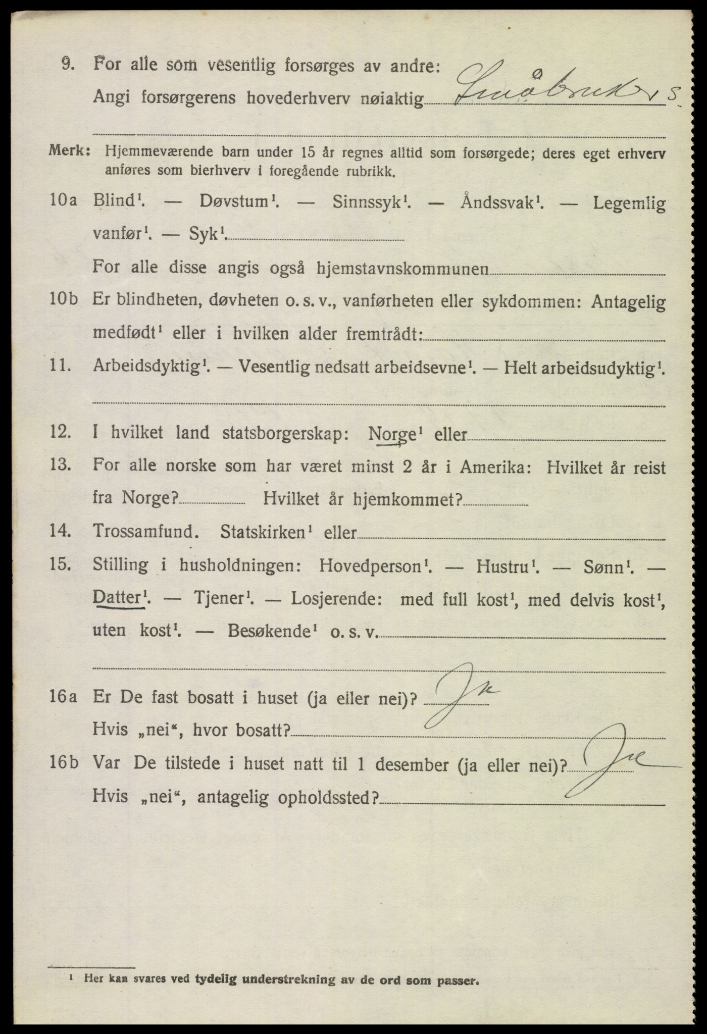 SAH, 1920 census for Vestre Slidre, 1920, p. 4271