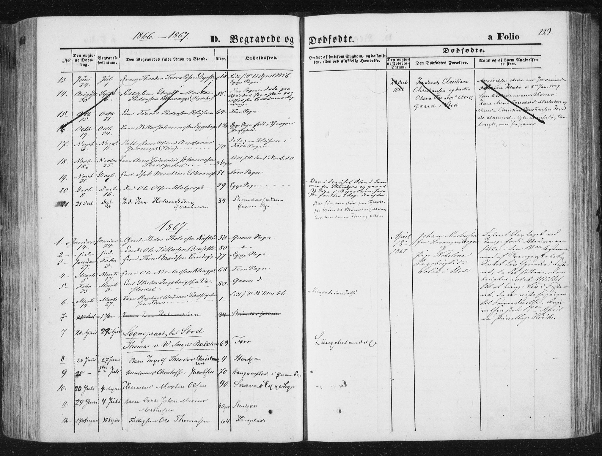 Ministerialprotokoller, klokkerbøker og fødselsregistre - Nord-Trøndelag, SAT/A-1458/746/L0447: Parish register (official) no. 746A06, 1860-1877, p. 229