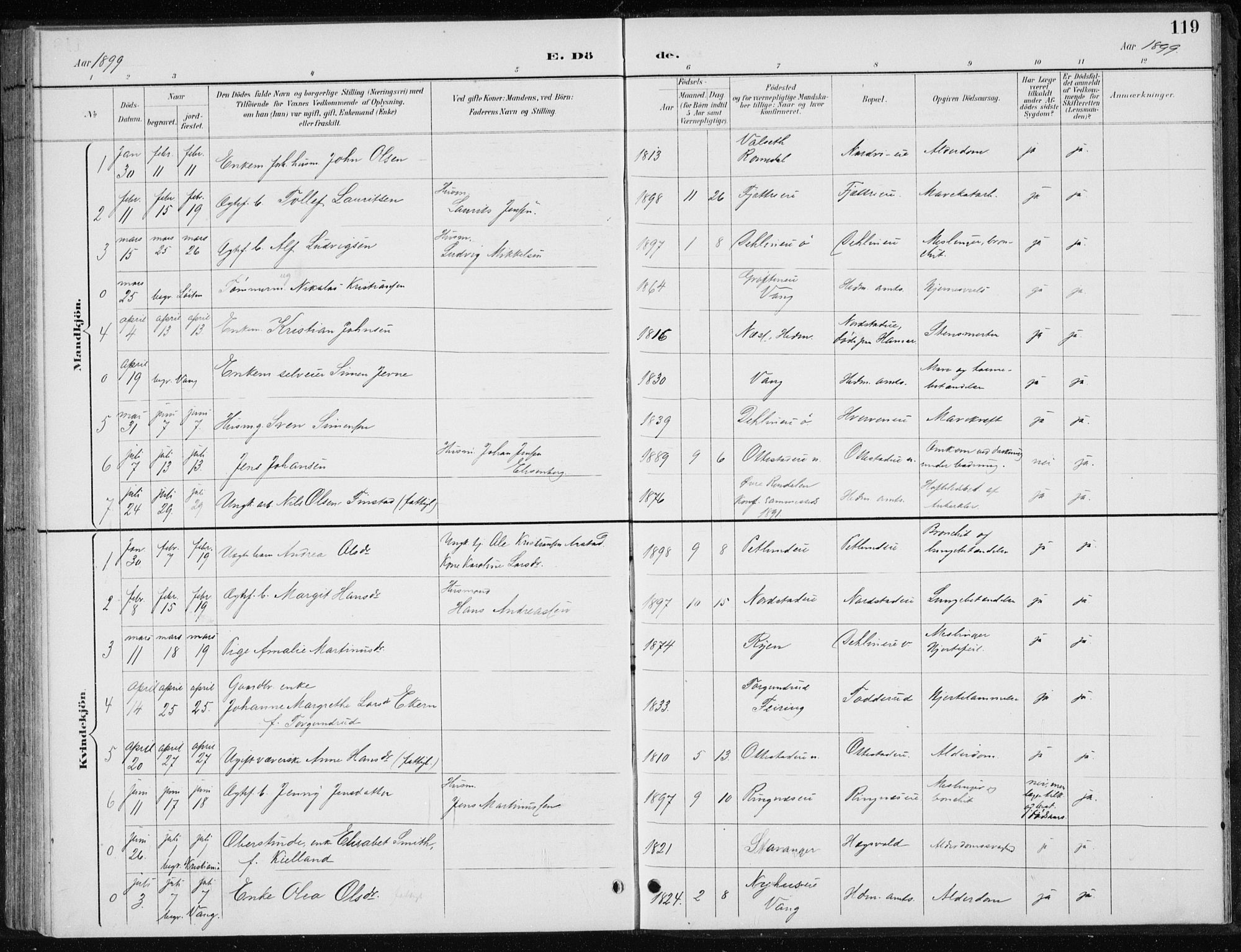 Stange prestekontor, SAH/PREST-002/L/L0010: Parish register (copy) no. 10, 1894-1905, p. 119
