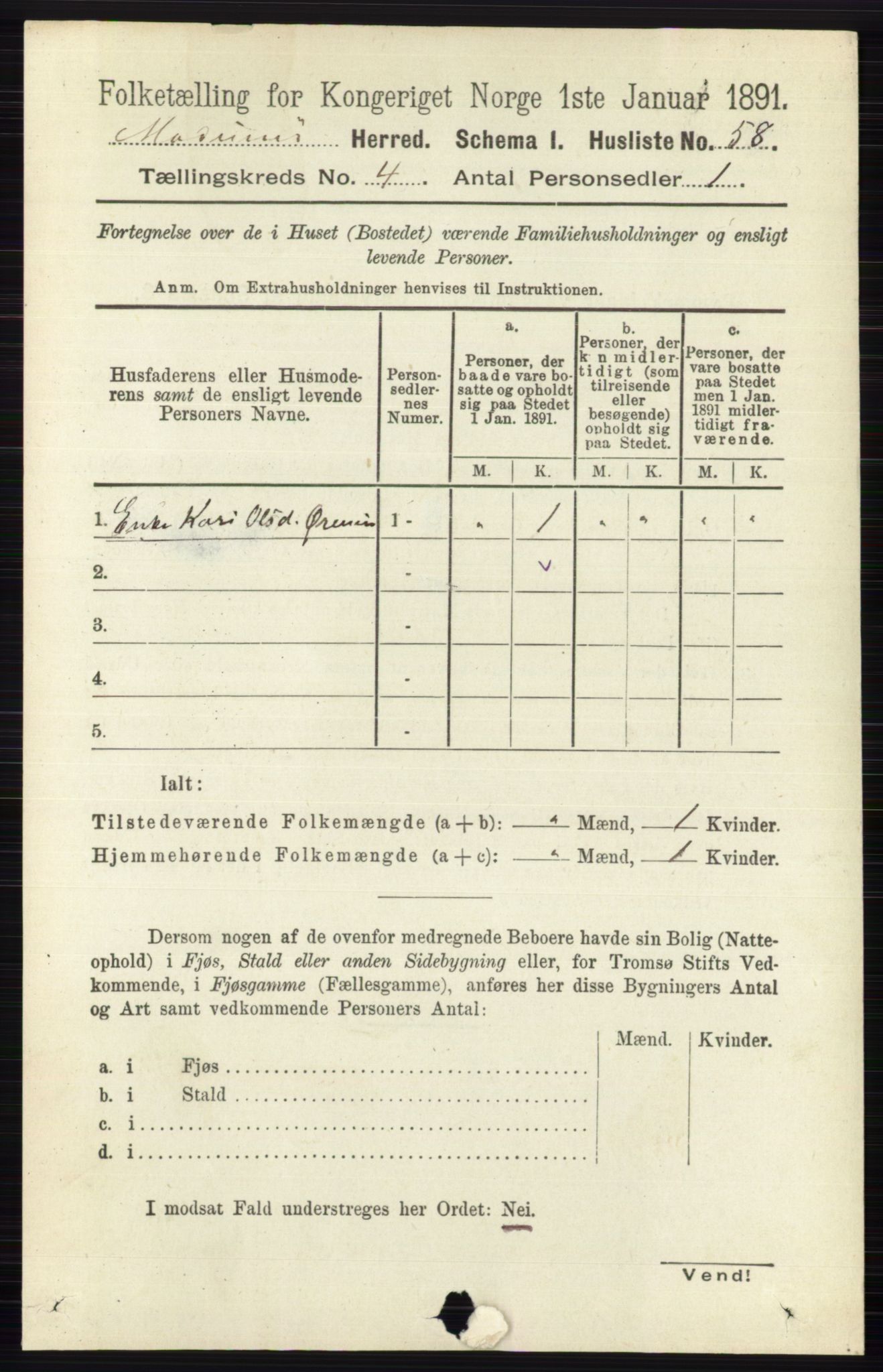 RA, 1891 census for 0623 Modum, 1891, p. 984