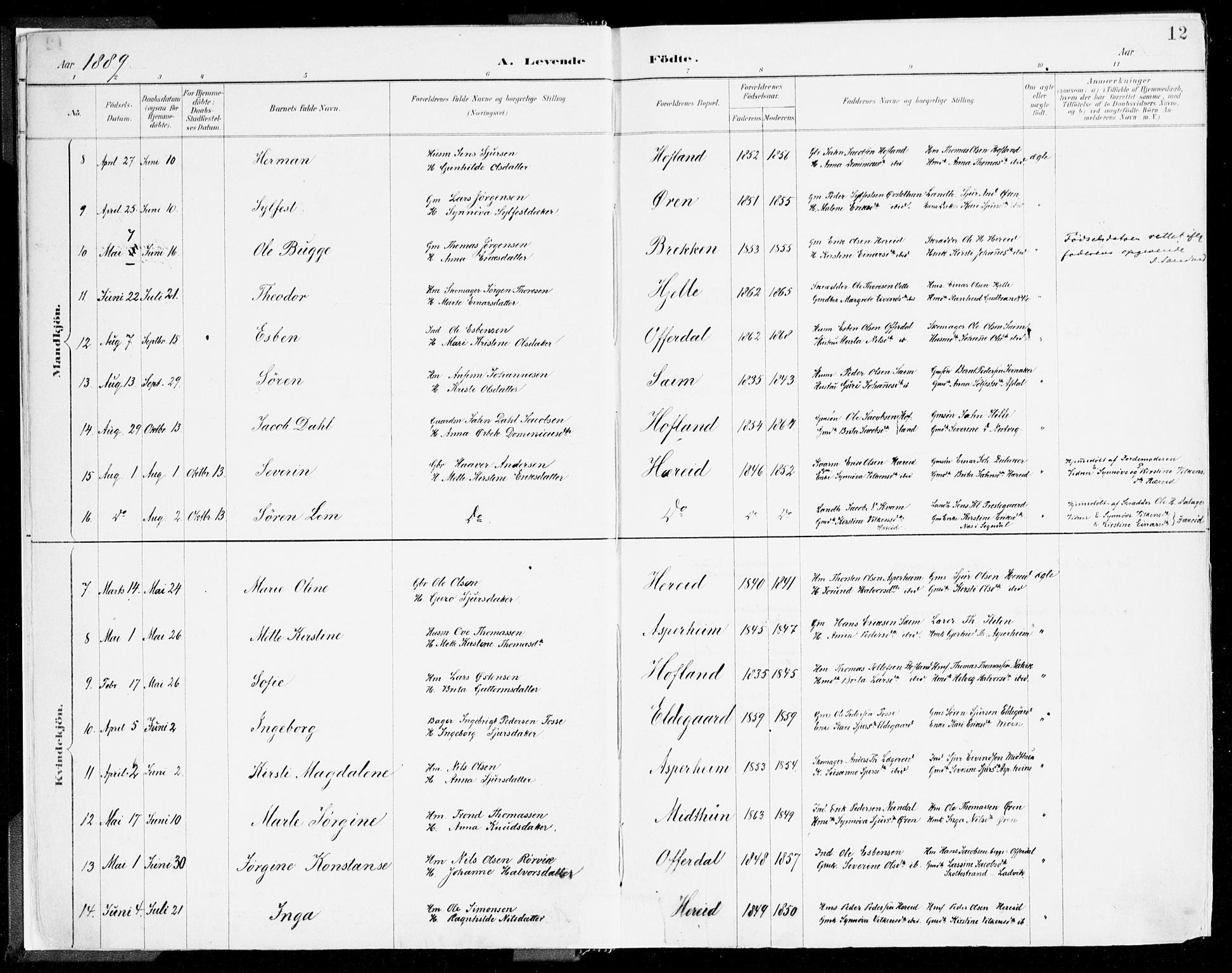 Årdal sokneprestembete, SAB/A-81701: Parish register (official) no. A 5, 1887-1917, p. 12