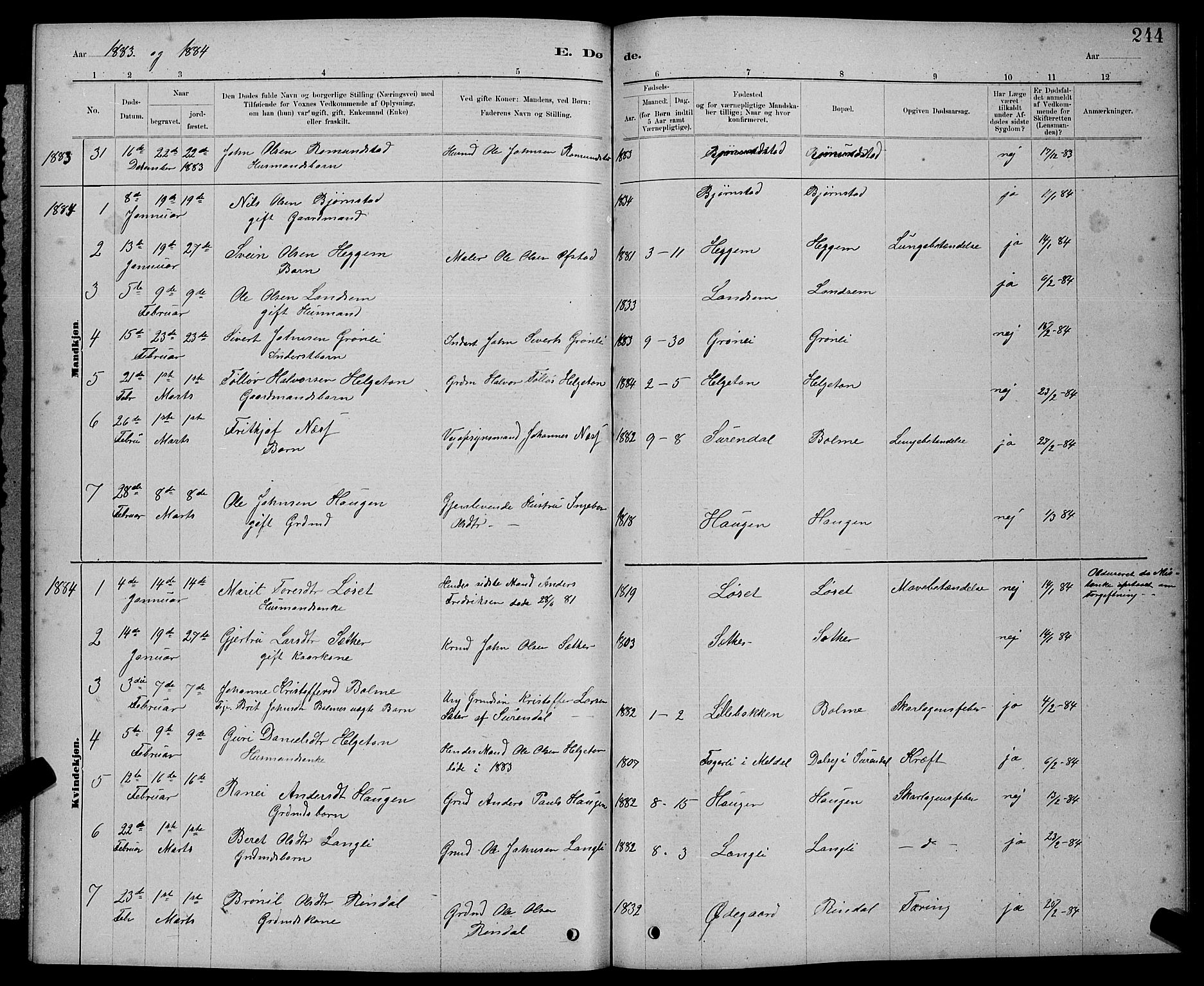 Ministerialprotokoller, klokkerbøker og fødselsregistre - Møre og Romsdal, AV/SAT-A-1454/598/L1077: Parish register (copy) no. 598C02, 1879-1891, p. 244