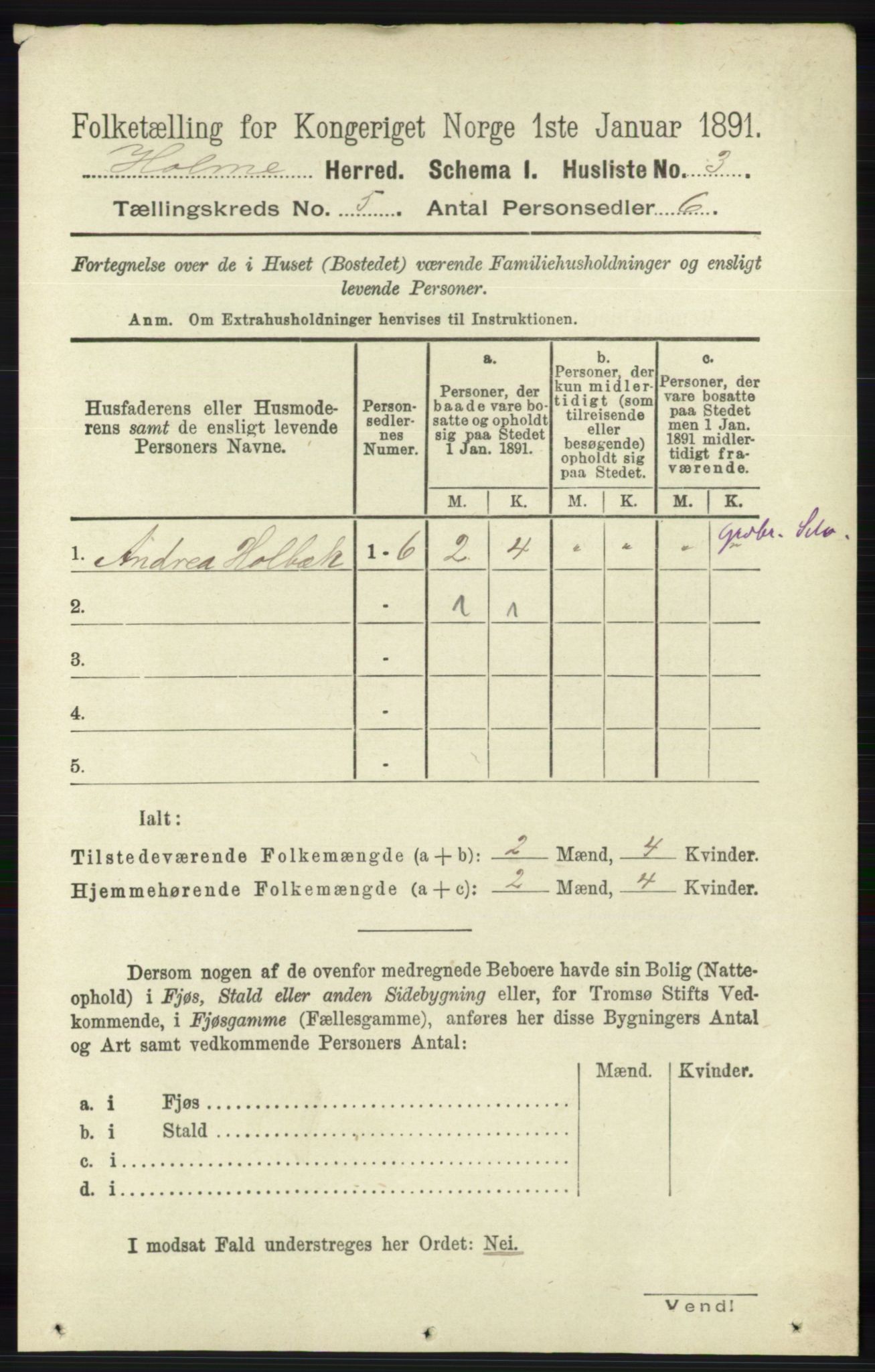 RA, 1891 census for 1020 Holum, 1891, p. 1180