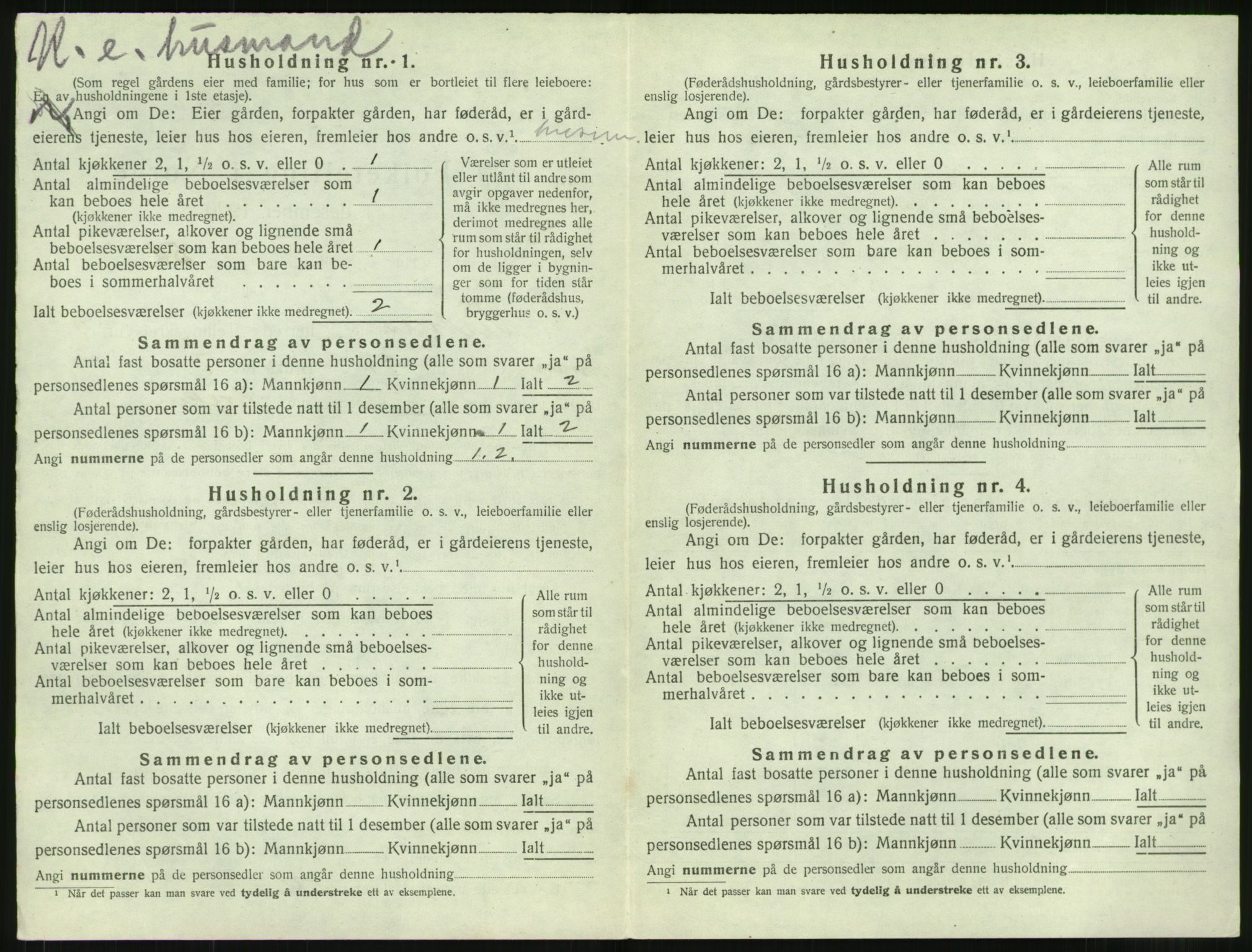SAT, 1920 census for Vestnes, 1920, p. 1040
