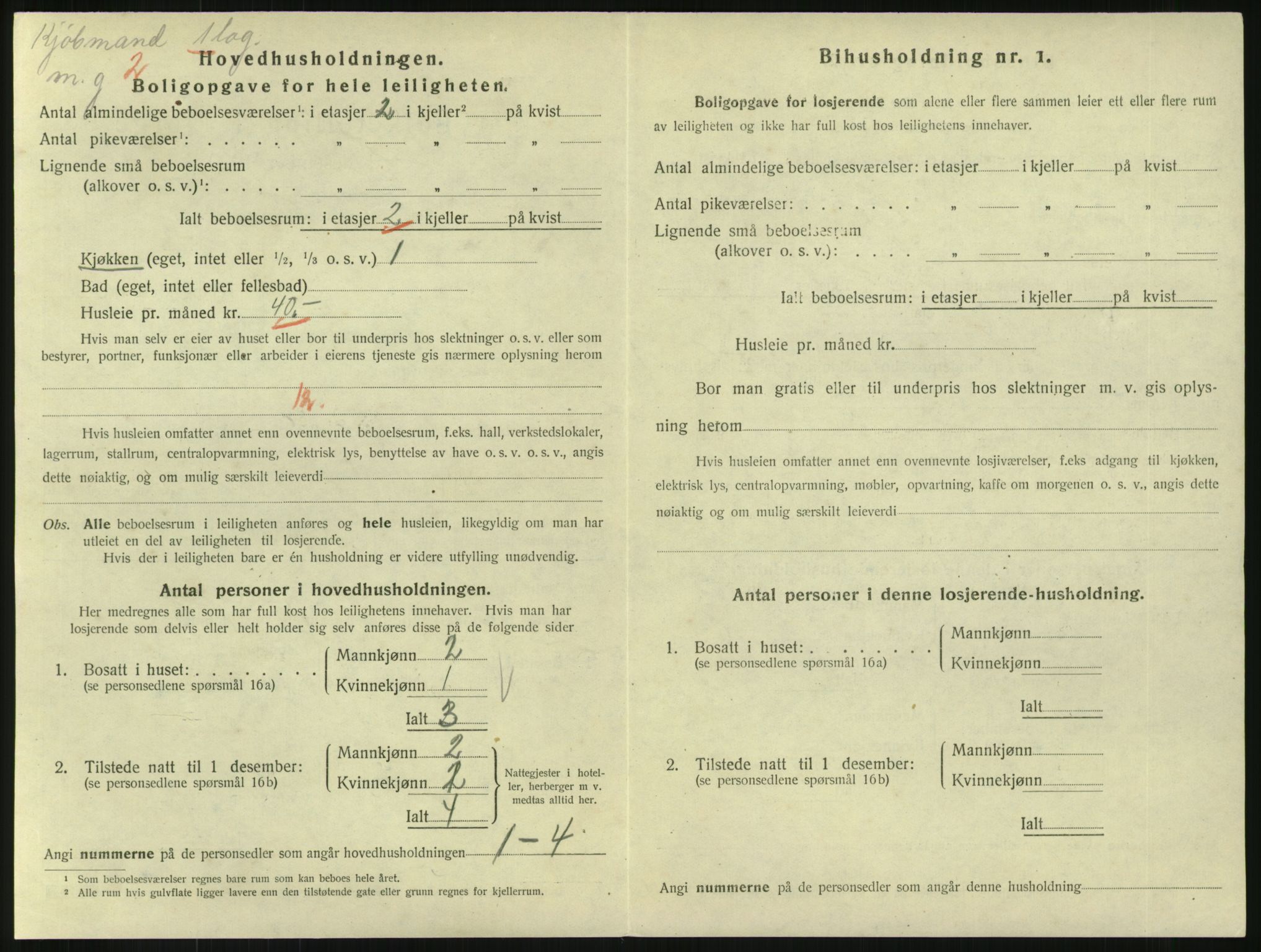 SAKO, 1920 census for Horten, 1920, p. 3904