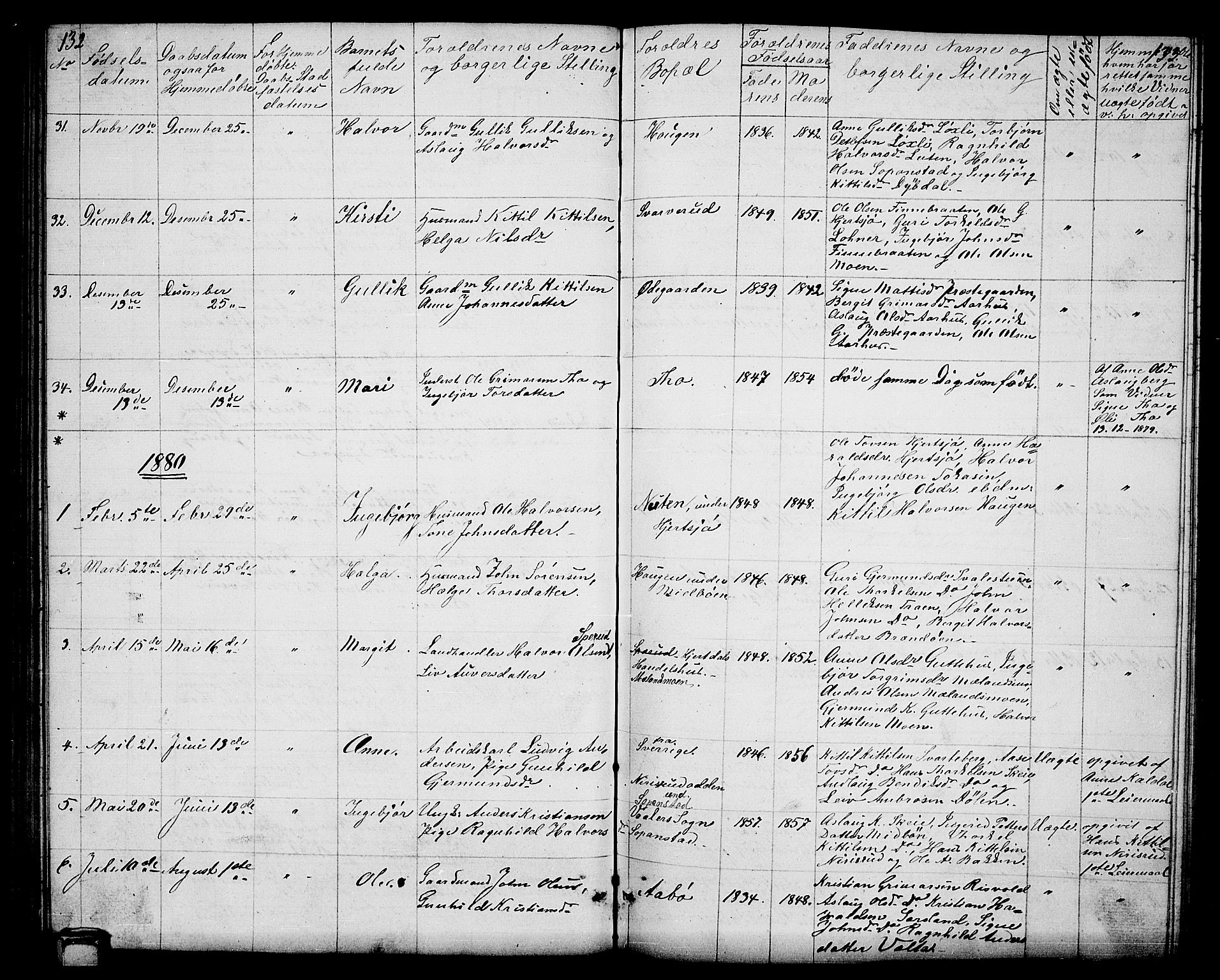 Hjartdal kirkebøker, SAKO/A-270/G/Ga/L0002: Parish register (copy) no. I 2, 1854-1888, p. 132-133