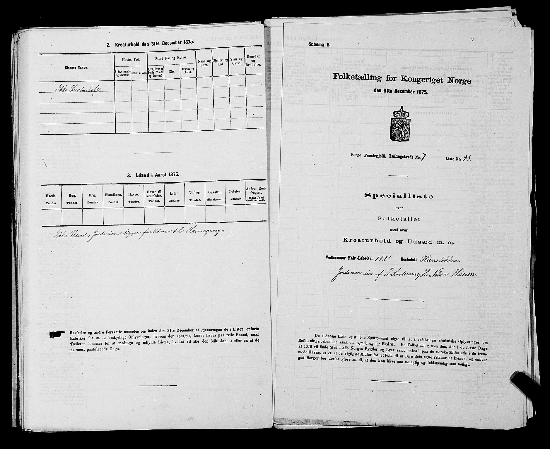 RA, 1875 census for 0113P Borge, 1875, p. 990