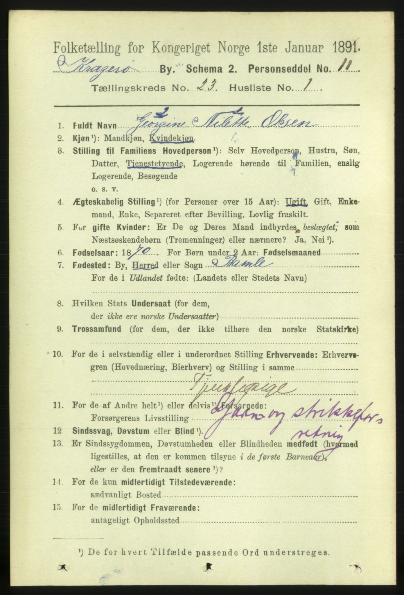 RA, 1891 census for 0801 Kragerø, 1891, p. 4888