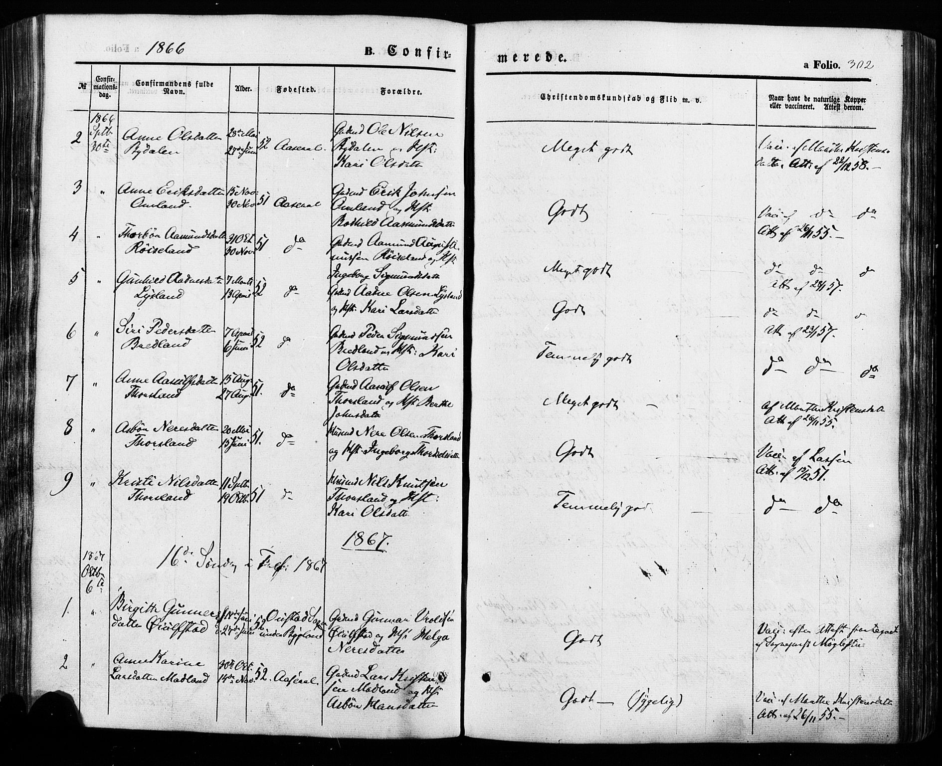 Åseral sokneprestkontor, SAK/1111-0051/F/Fa/L0002: Parish register (official) no. A 2, 1854-1884, p. 302