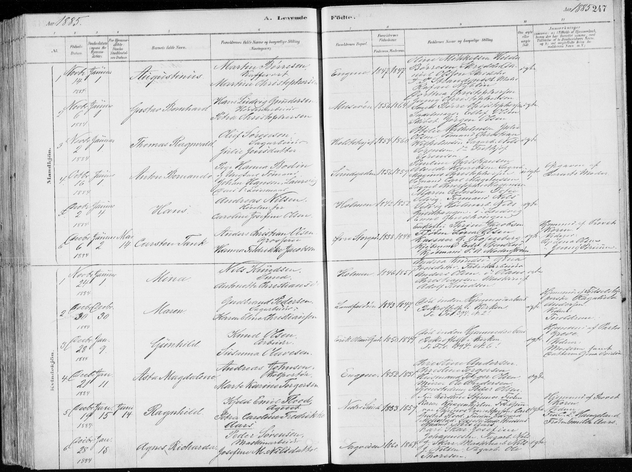 Bragernes kirkebøker, SAKO/A-6/F/Fb/L0006a: Parish register (official) no. II 6A, 1878-1885, p. 247