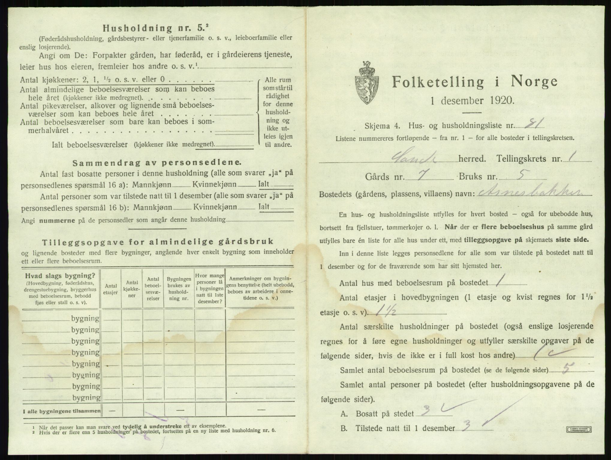 SAKO, 1920 census for Sande, 1920, p. 199