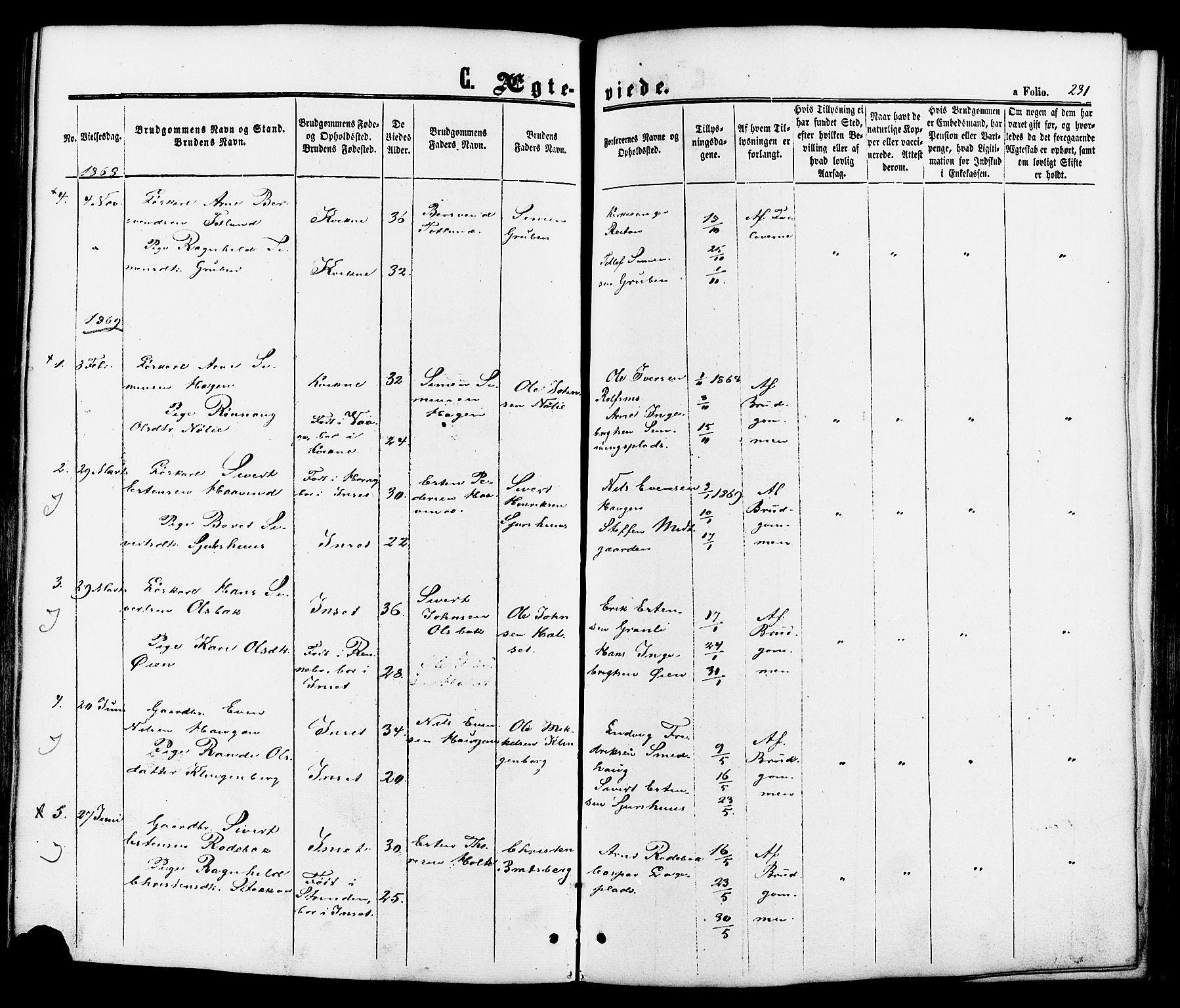 Kvikne prestekontor, SAH/PREST-064/H/Ha/Haa/L0006: Parish register (official) no. 6, 1863-1886, p. 231