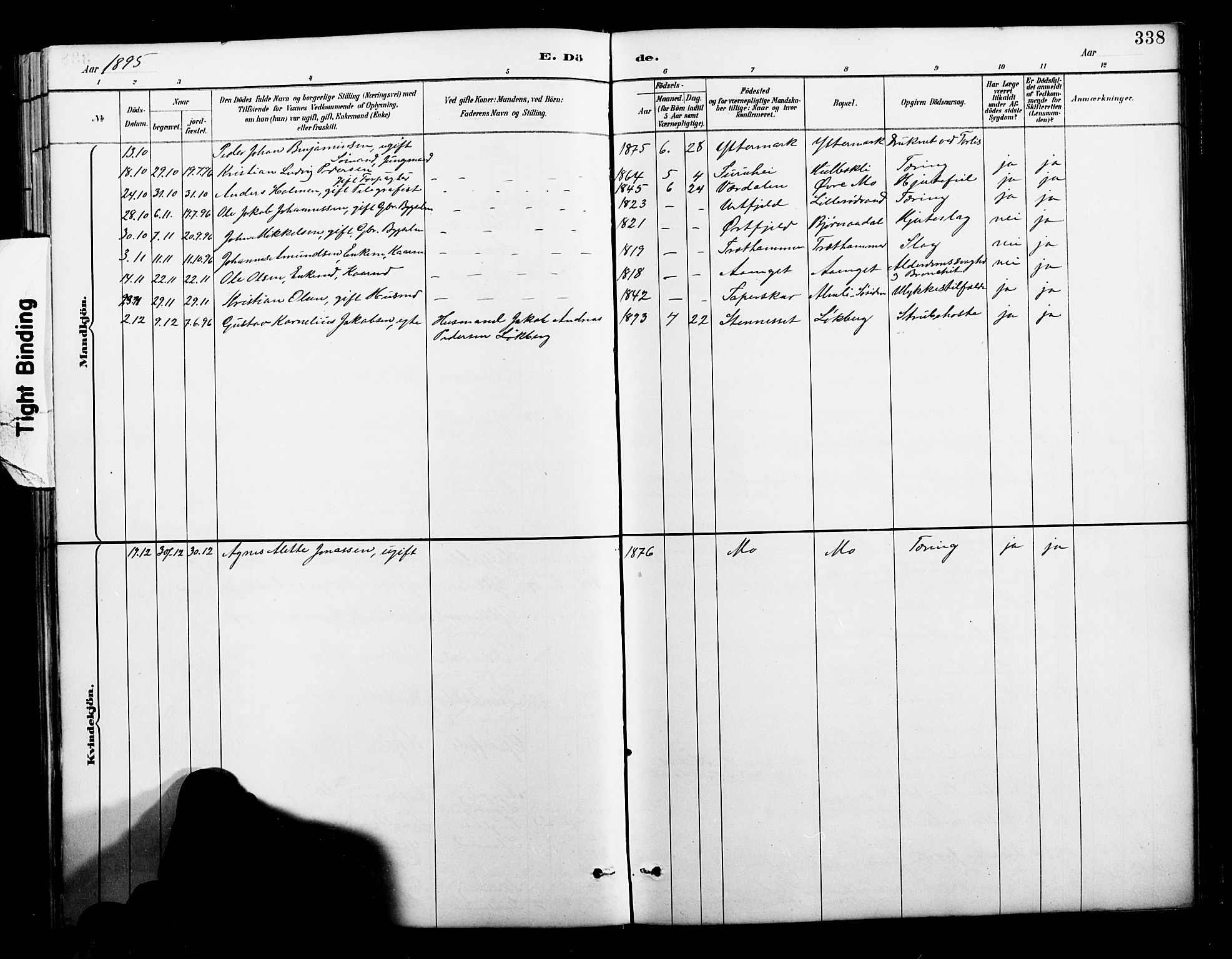 Ministerialprotokoller, klokkerbøker og fødselsregistre - Nordland, AV/SAT-A-1459/827/L0421: Parish register (copy) no. 827C10, 1887-1906, p. 338