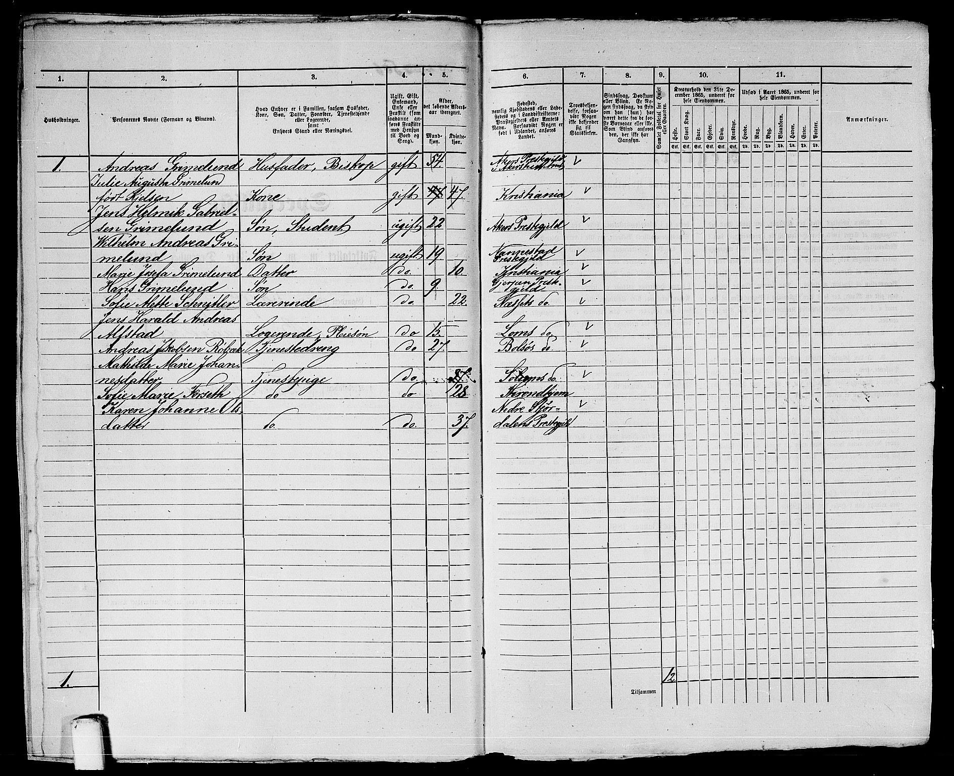 RA, 1865 census for Trondheim, 1865, p. 1060