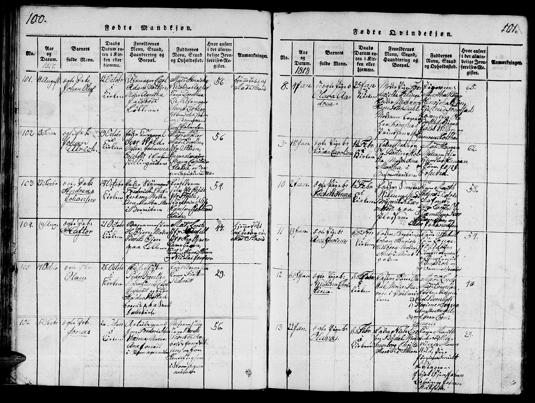 Ministerialprotokoller, klokkerbøker og fødselsregistre - Sør-Trøndelag, SAT/A-1456/601/L0043: Parish register (official) no. 601A11, 1815-1821, p. 100-101