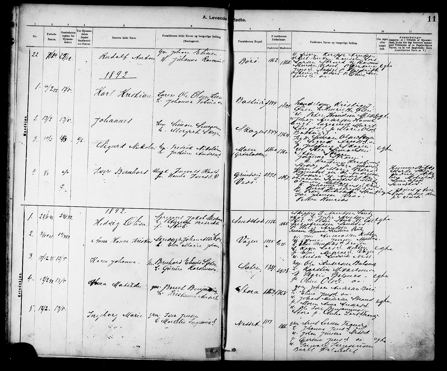 Ministerialprotokoller, klokkerbøker og fødselsregistre - Sør-Trøndelag, SAT/A-1456/639/L0573: Parish register (copy) no. 639C01, 1890-1905, p. 11