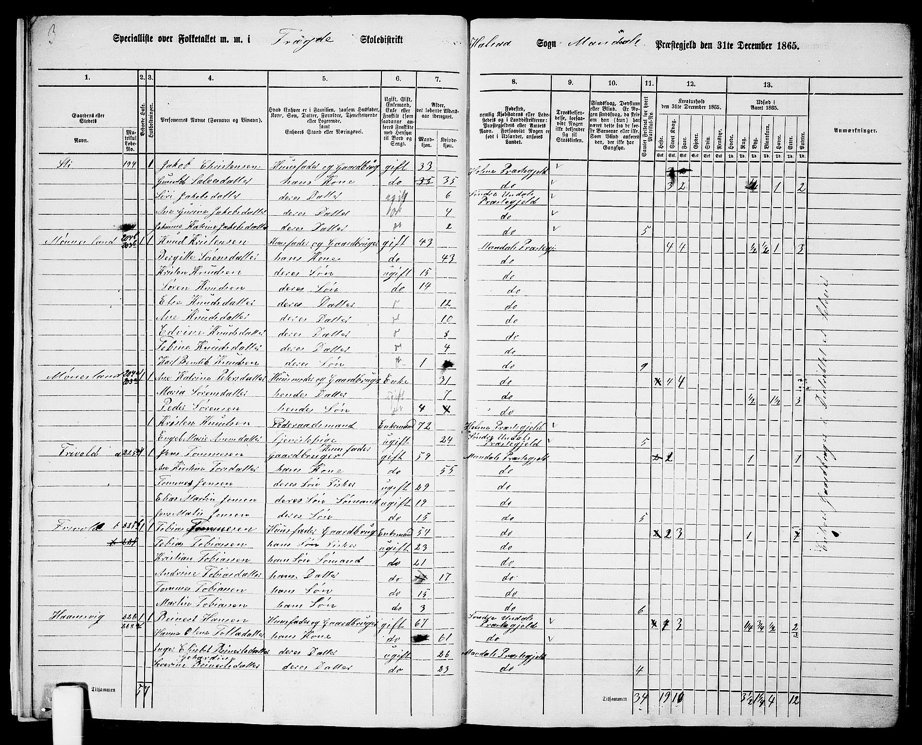 RA, 1865 census for Mandal/Halse og Harkmark, 1865, p. 19