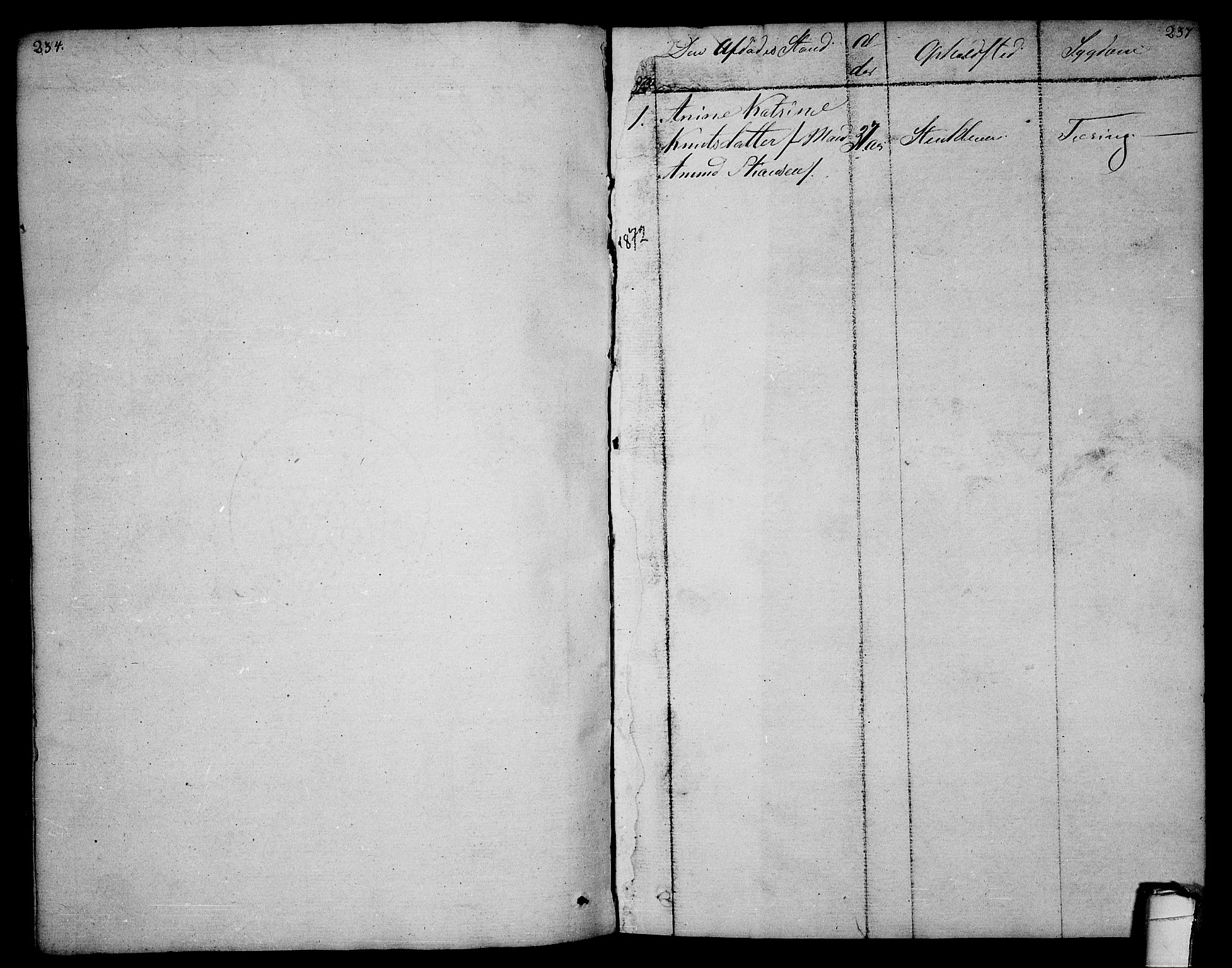 Sannidal kirkebøker, SAKO/A-296/F/Fa/L0003: Parish register (official) no. 3, 1803-1813, p. 236-237