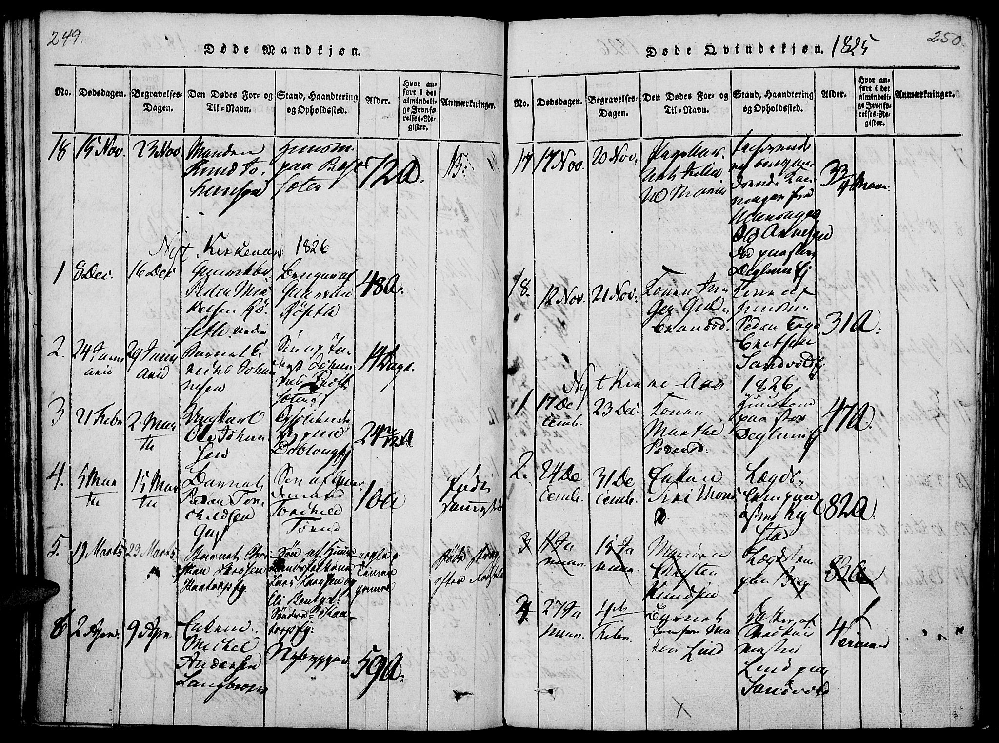 Vang prestekontor, Hedmark, SAH/PREST-008/H/Ha/Haa/L0008: Parish register (official) no. 8, 1815-1826, p. 249-250