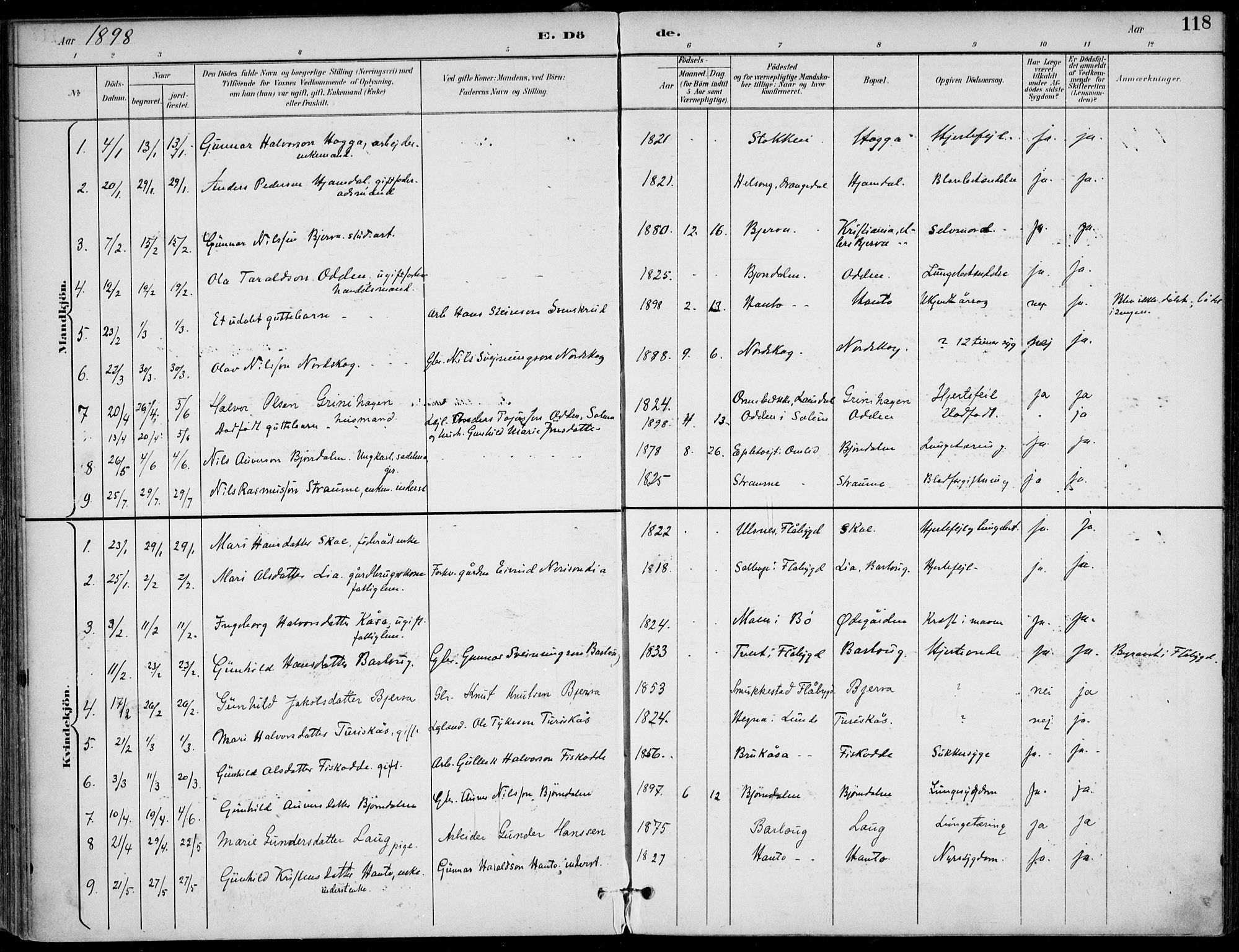 Lunde kirkebøker, AV/SAKO-A-282/F/Fa/L0003: Parish register (official) no. I 3, 1893-1902, p. 118