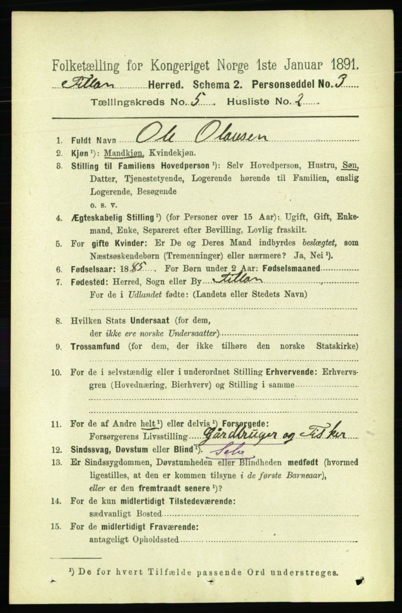 RA, 1891 census for 1616 Fillan, 1891, p. 995