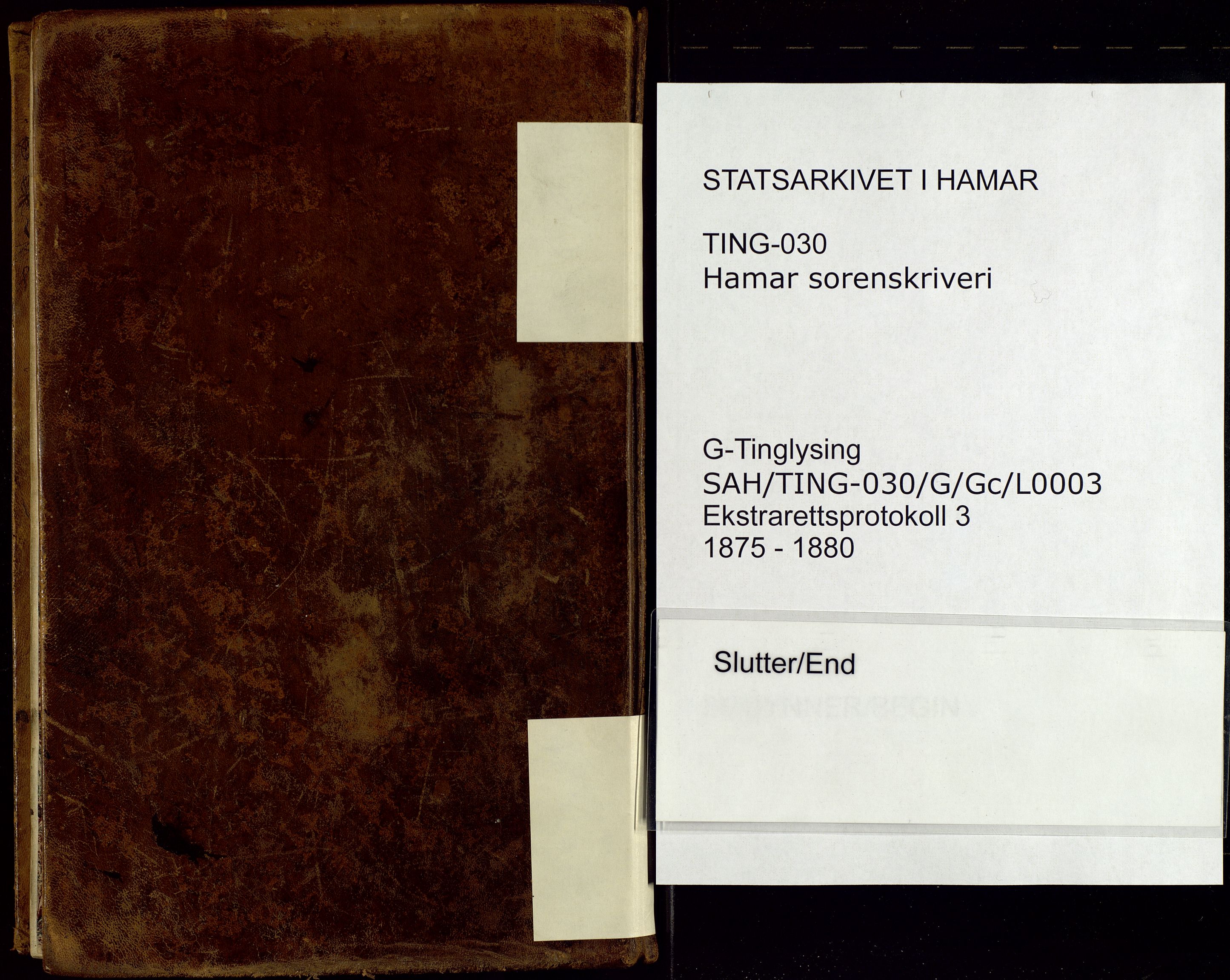 Hamar sorenskriveri, SAH/TING-030/G/Gc/L0003: Forhørs- og ekstrarettsprotokoll, 1875-1880